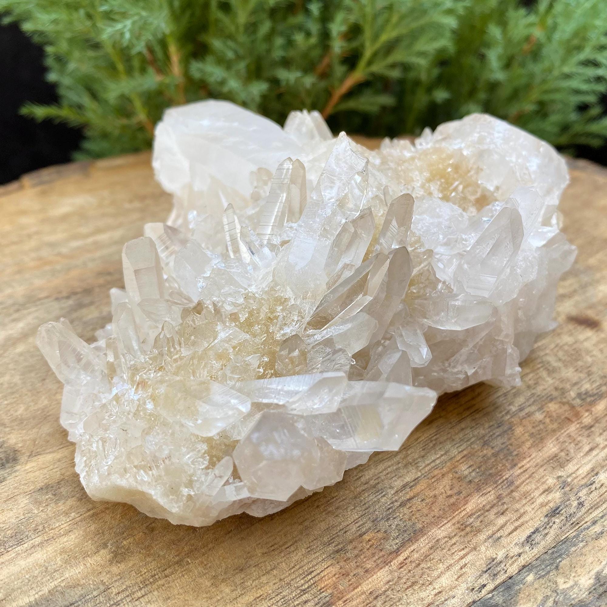 515gm Yellow Samadhi Quartz Crystal: Raw Healing Crystal Minerals