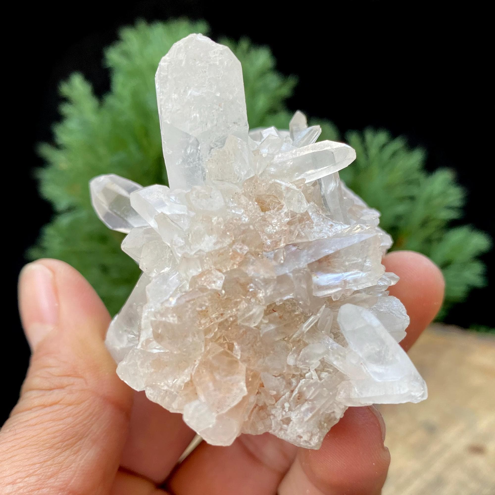 Himalayan Quartz Specimen: White & Pink Healing Crystal 395gm