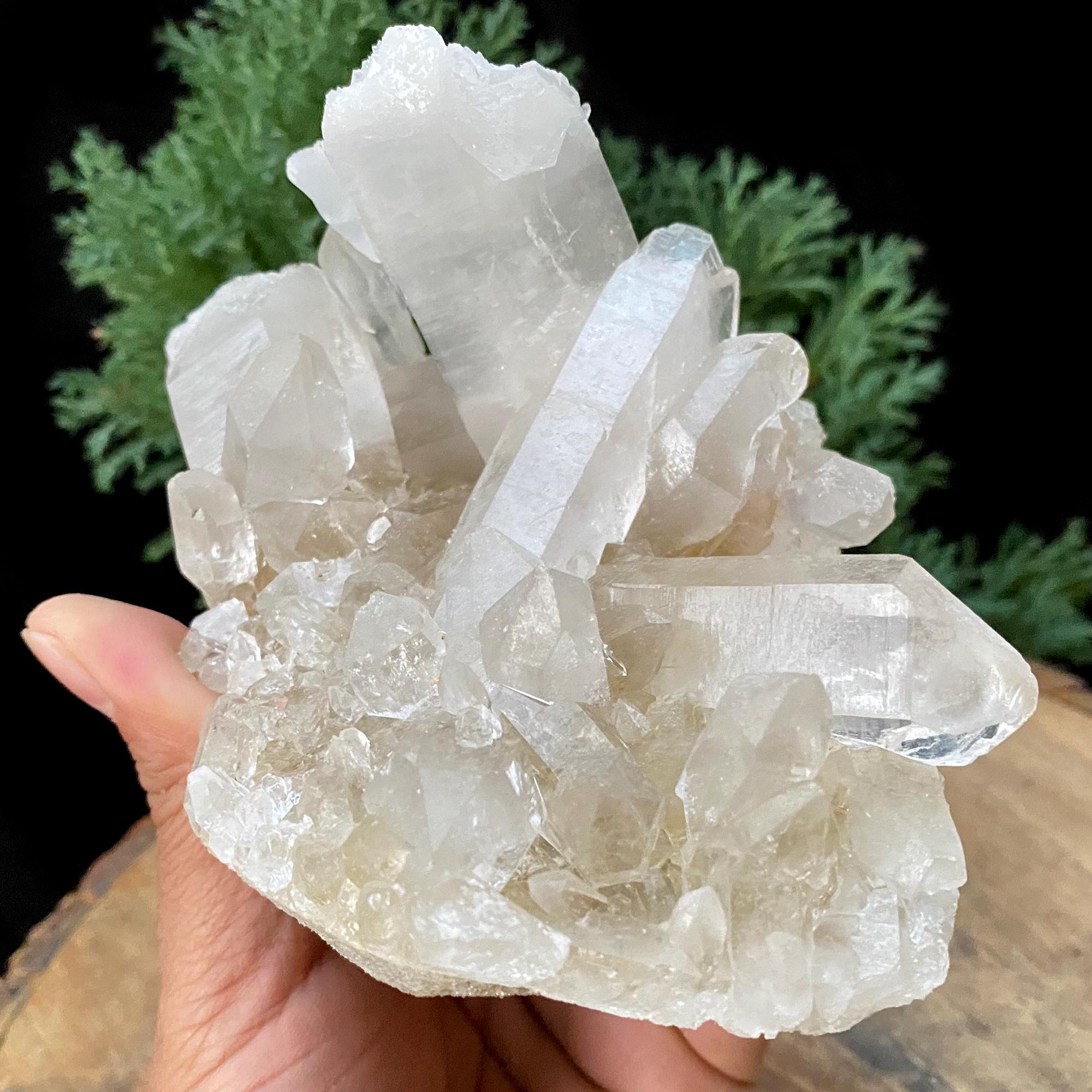 Golden Healer Quartz Cluster: 640gm Manikaran Healing Crystal