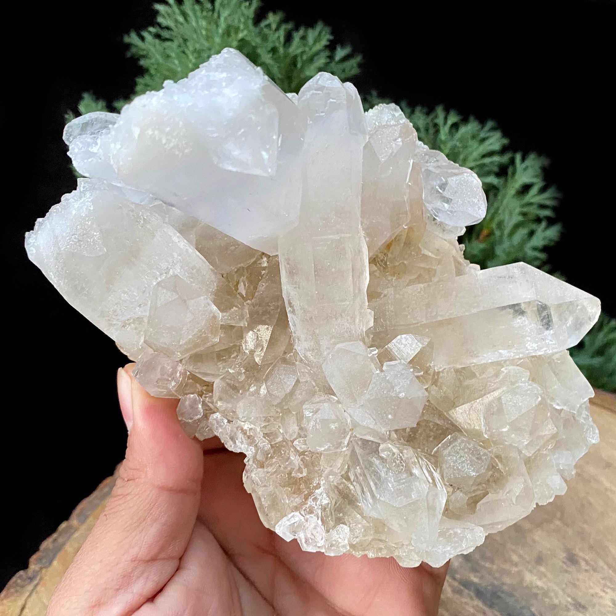 Golden Healer Quartz Cluster: 640gm Manikaran Healing Crystal