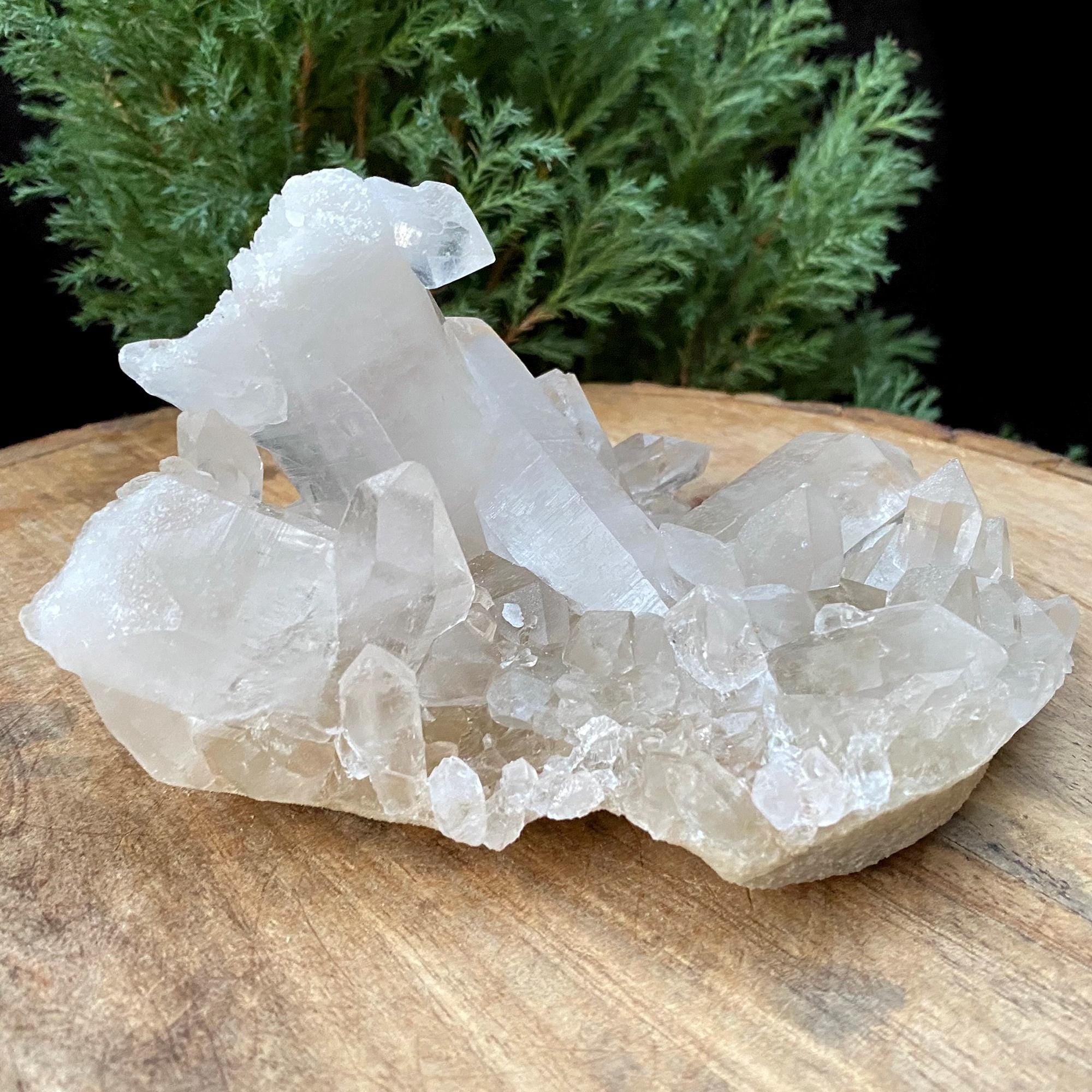 Golden Healer Quartz Cluster: 640gm Manikaran Healing Crystal
