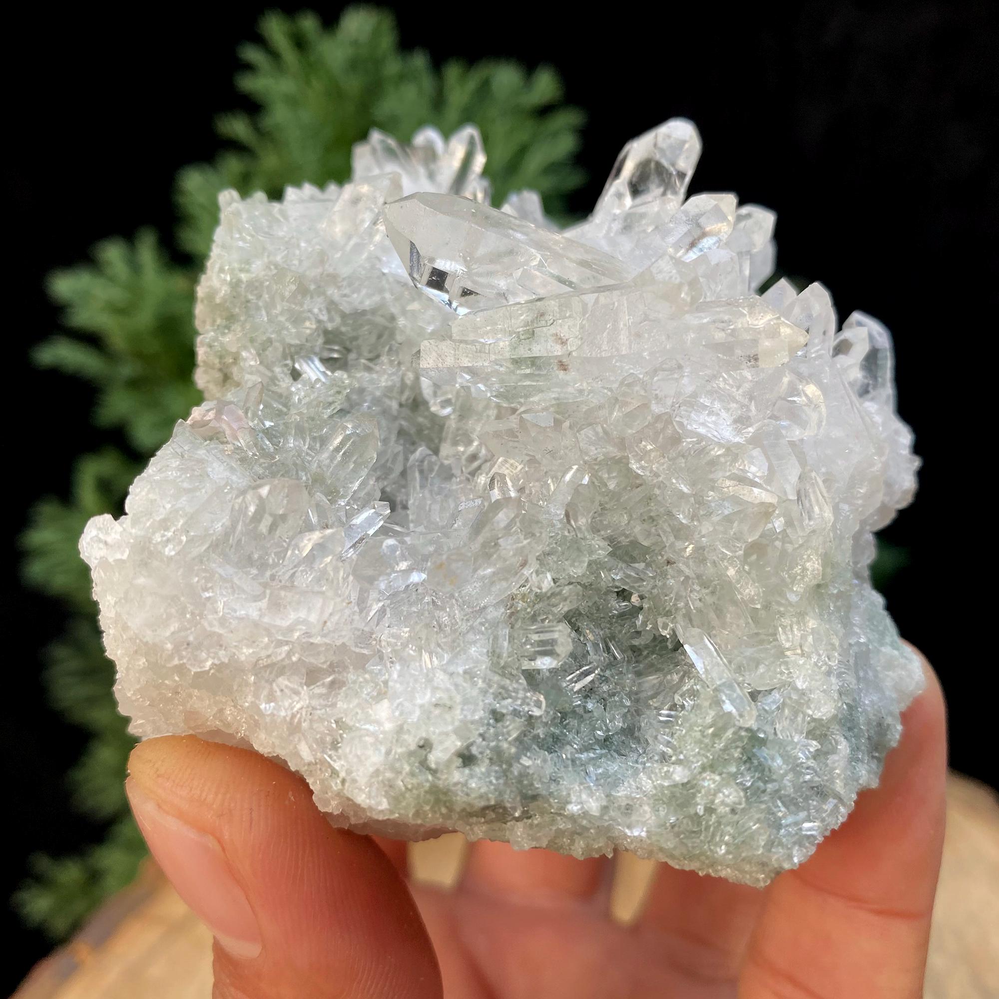 Green Chlorite Quartz Crystal Cluster: Raw Himalayan Healing Mineral, 335gm