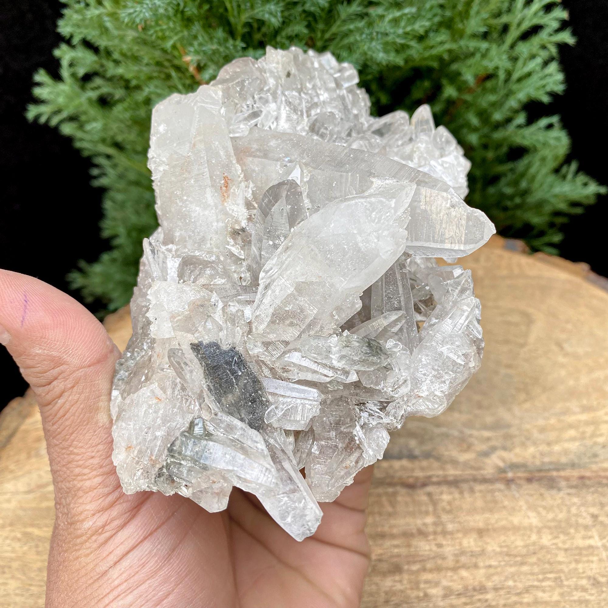 Black Tourmaline Quartz Crystal, Kullu Valley India, 455gm Rough