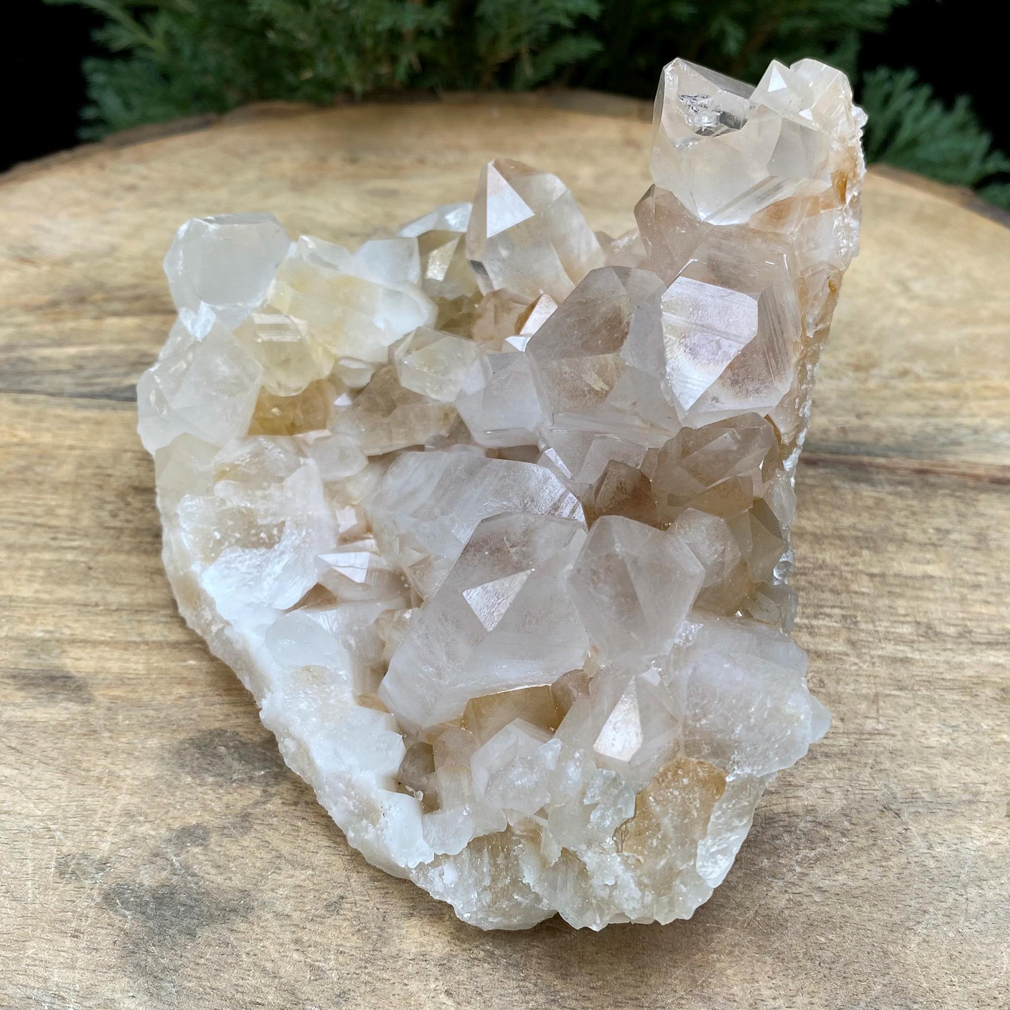 455gm Golden Healer Quartz Crystal: Natural Yellow Samadhi Rough