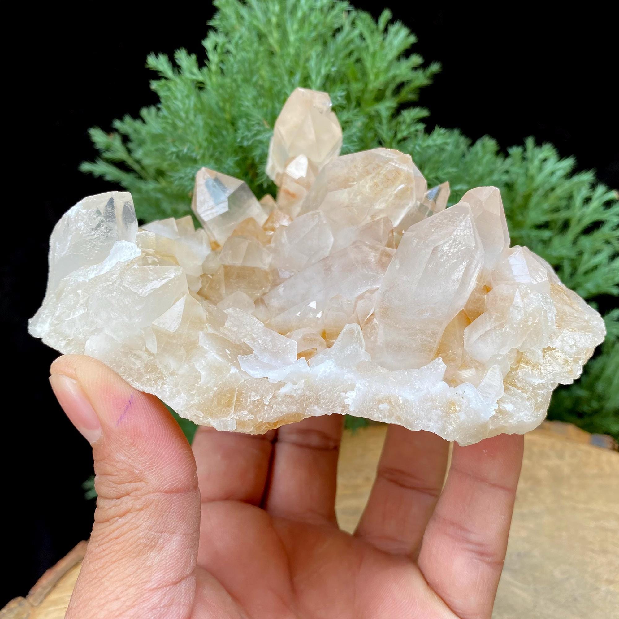 455gm Golden Healer Quartz Crystal: Natural Yellow Samadhi Rough
