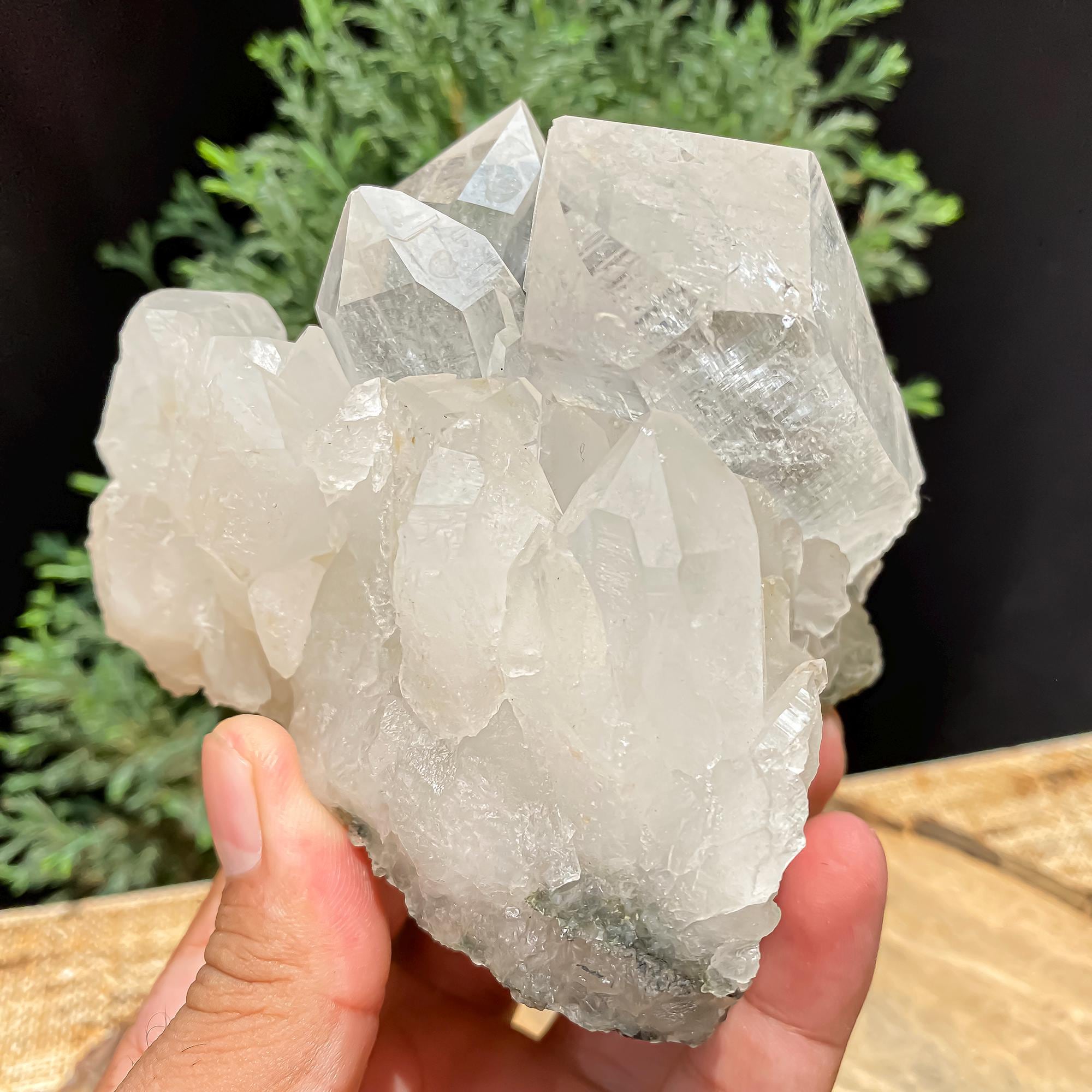 Himalayan Clear Chlorite Quartz Crystal Point: 640gm Raw Green Healing Stone Rough