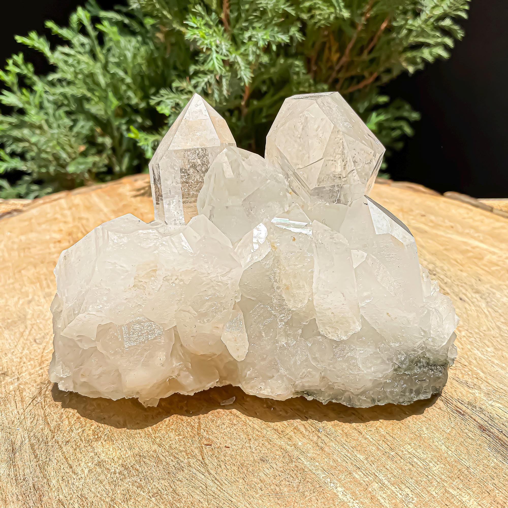 Himalayan Clear Chlorite Quartz Crystal Point: 640gm Raw Green Healing Stone Rough