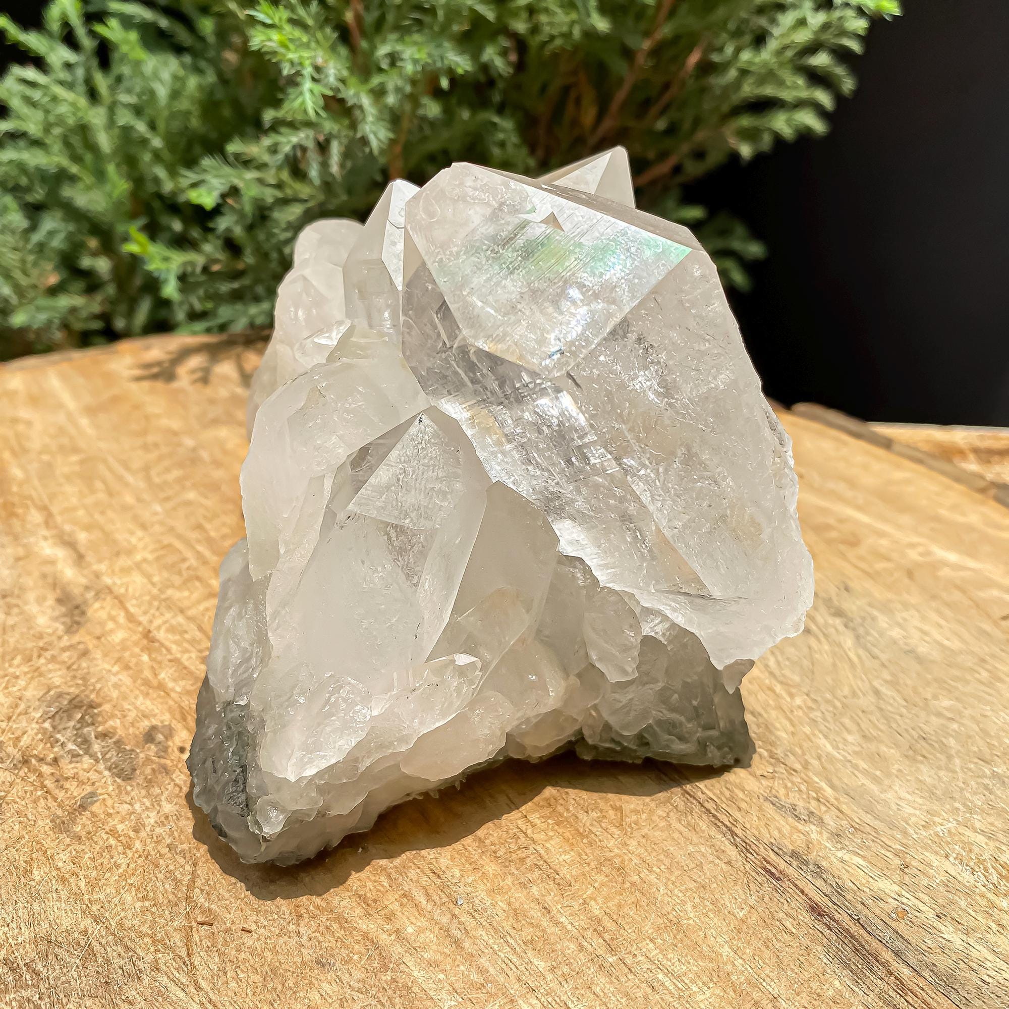 Himalayan Clear Chlorite Quartz Crystal Point: 640gm Raw Green Healing Stone Rough