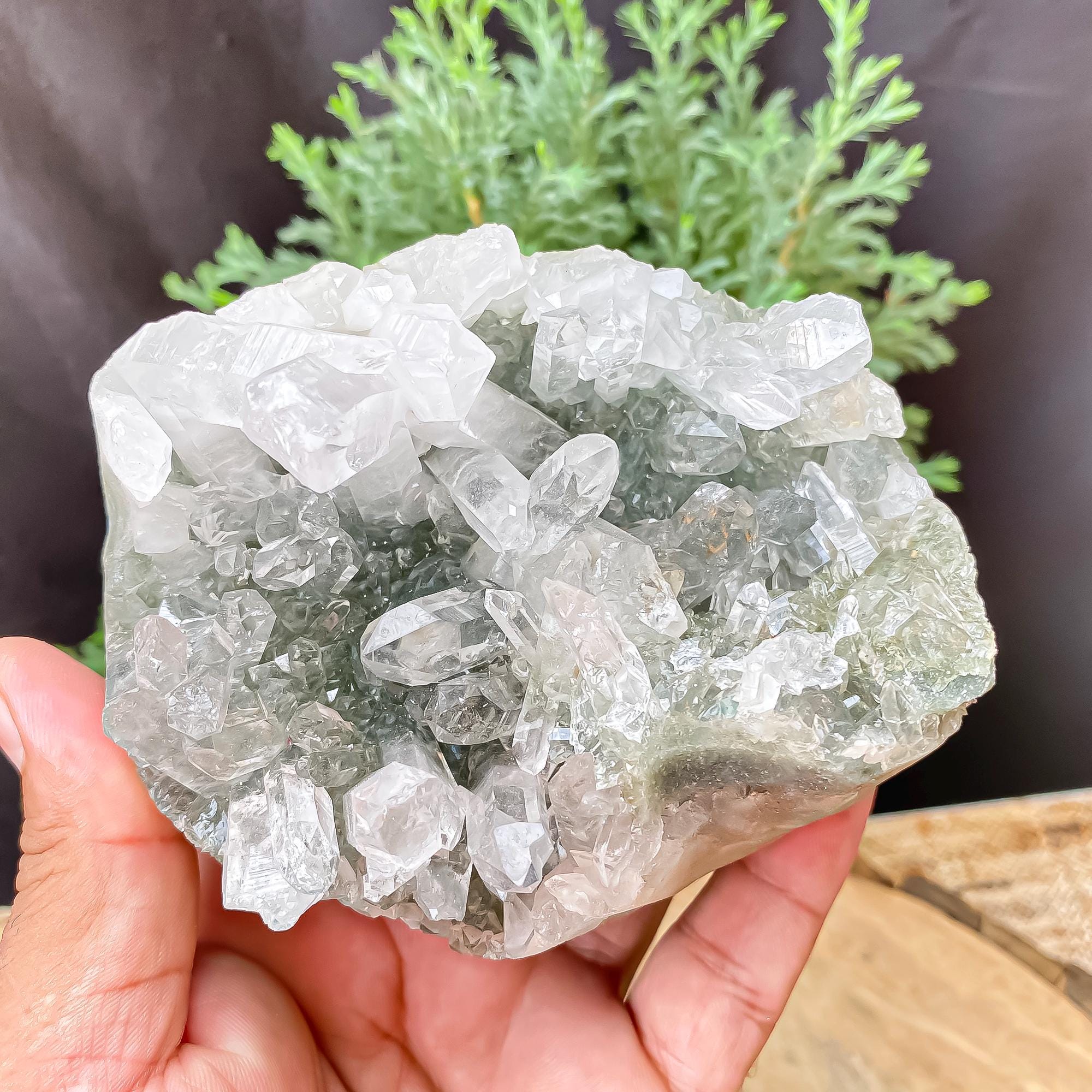 Himalayan Green Chlorite Quartz Cluster: Natural Healing Crystal, 670gm