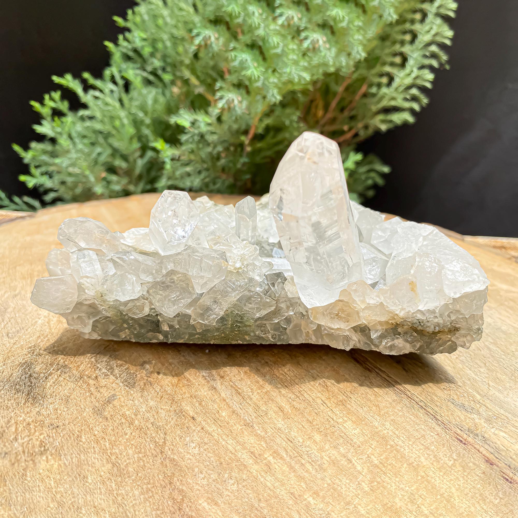 Himalayan Green Chlorite Quartz Cluster 435gm  Raw Mineral Specimen for Healing & Home Decor