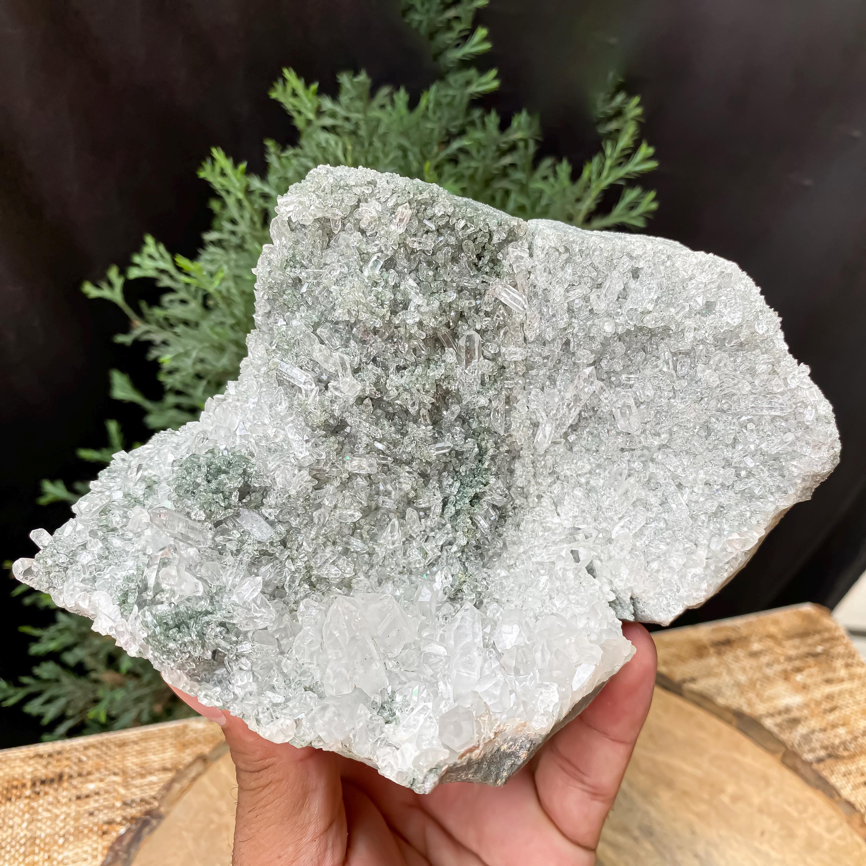 Himalayan Green Chlorite Quartz Cluster: Raw Healing Crystal, Home Decor 845gm