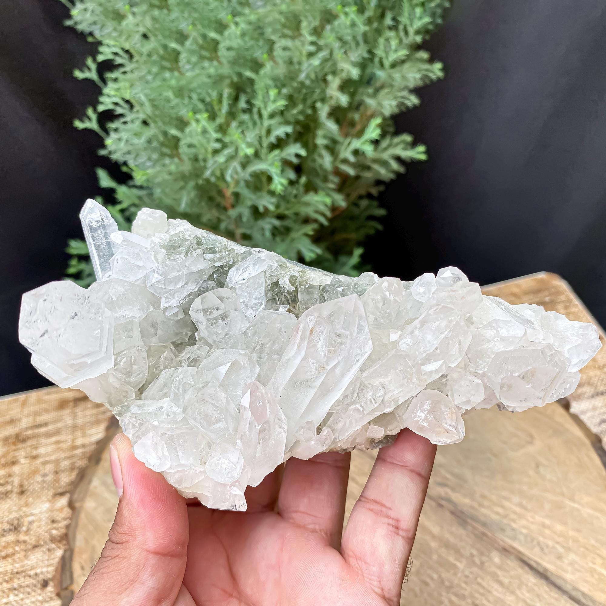Himalayan Green Chlorite Quartz Cluster: Natural Healing Crystal Rough, 565gm