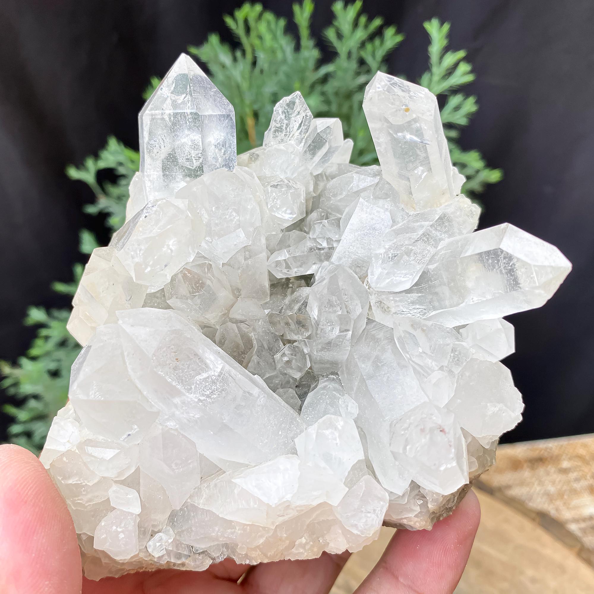 Himalayan Clear Chlorite Quartz Crystal Pointed: 600gm Raw Green Energy Stone