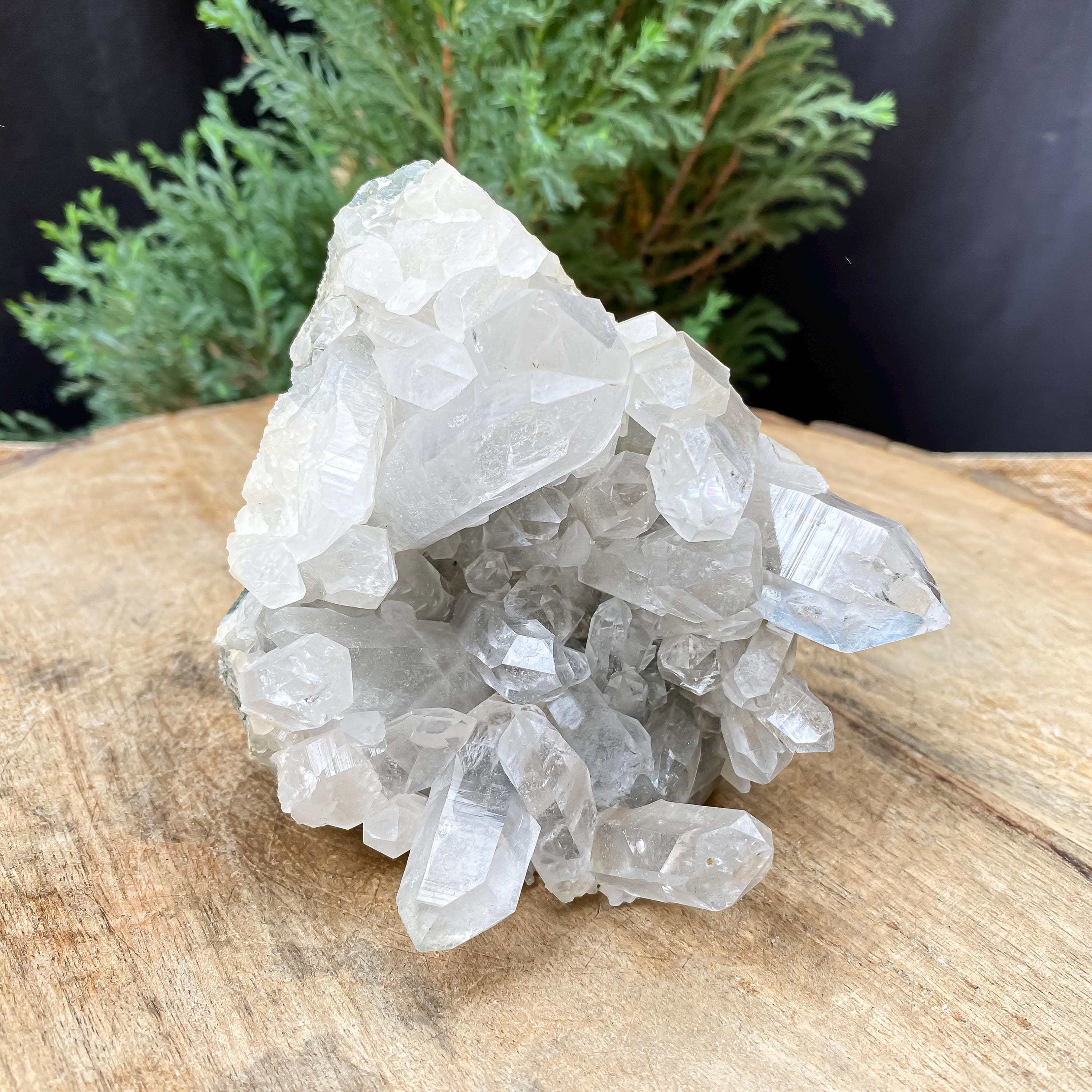 Himalayan Clear Chlorite Quartz Crystal Pointed: 600gm Raw Green Energy Stone
