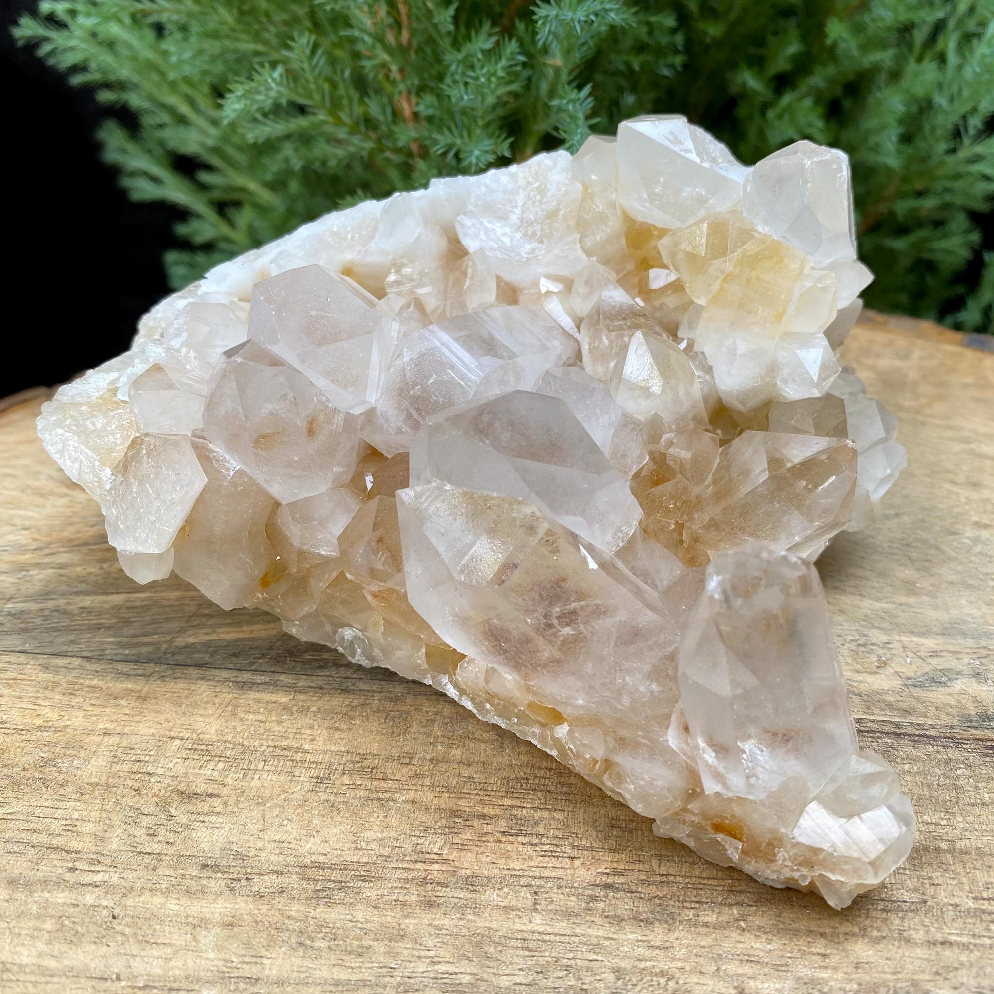 455gm Golden Healer Quartz Crystal: Natural Yellow Samadhi Rough