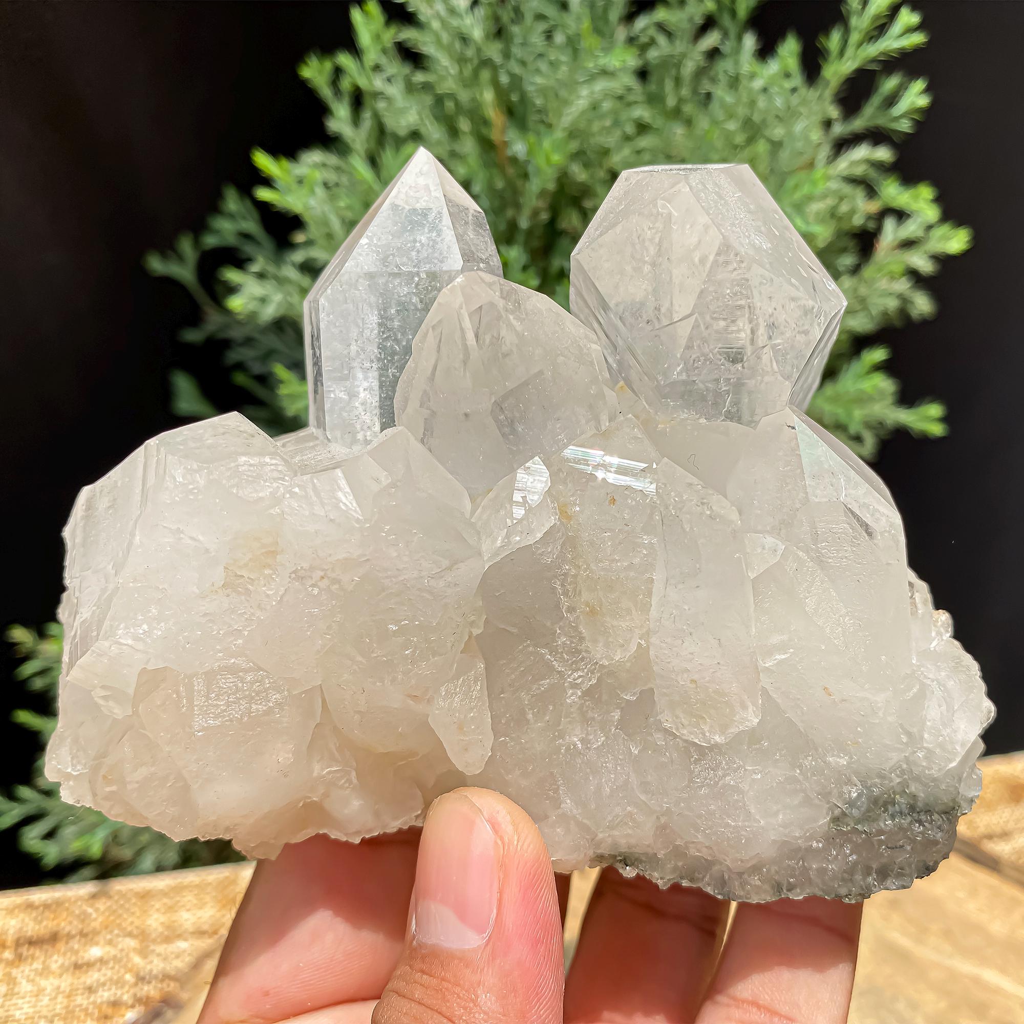 Himalayan Clear Chlorite Quartz Crystal Point: 640gm Raw Green Healing Stone Rough