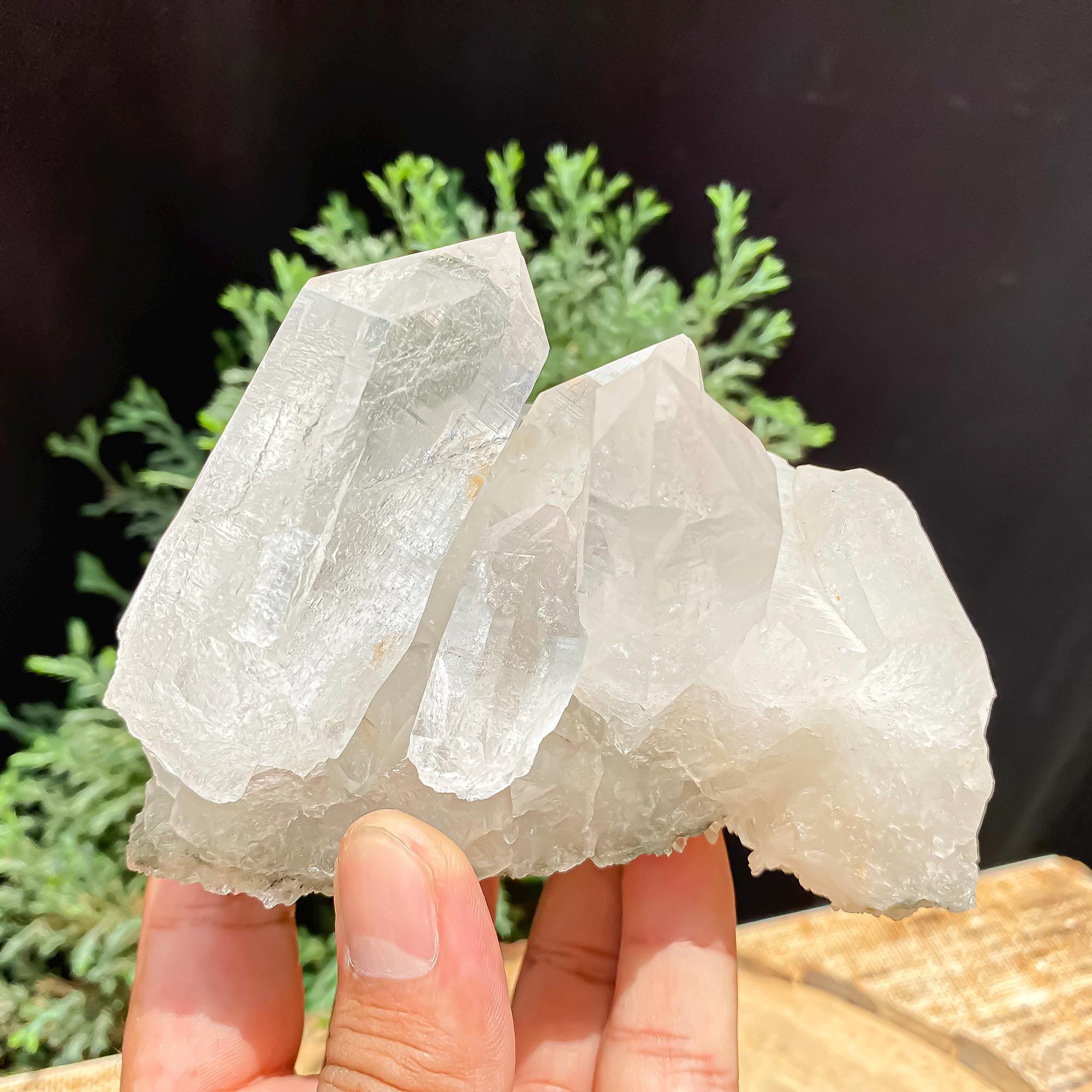 Himalayan Clear Chlorite Quartz Crystal Point: 640gm Raw Green Healing Stone Rough