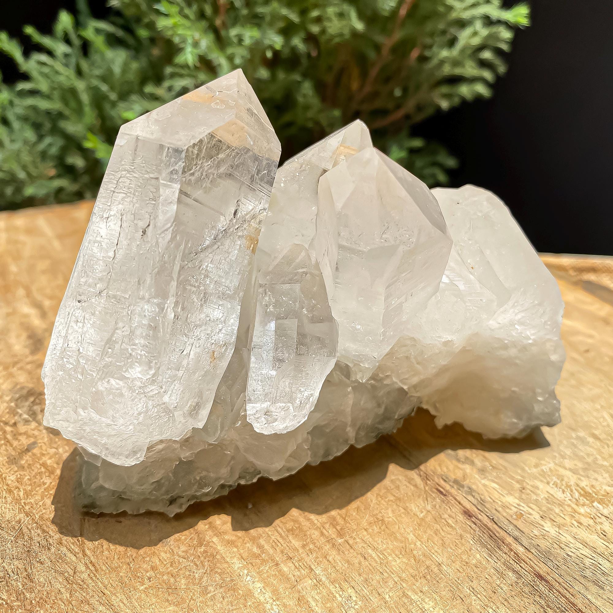 Himalayan Clear Chlorite Quartz Crystal Point: 640gm Raw Green Healing Stone Rough