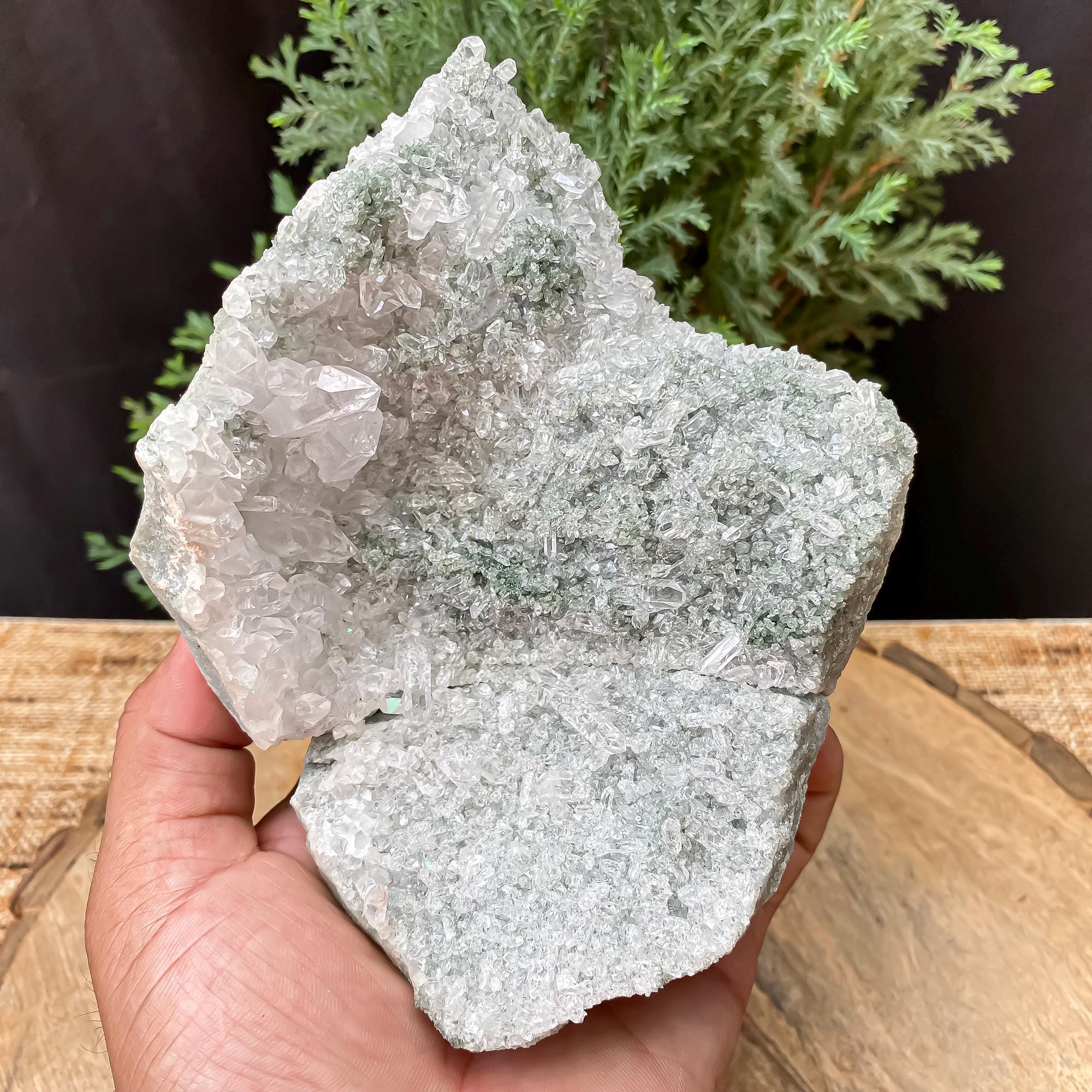 Himalayan Green Chlorite Quartz Cluster: Raw Healing Crystal, Home Decor 845gm