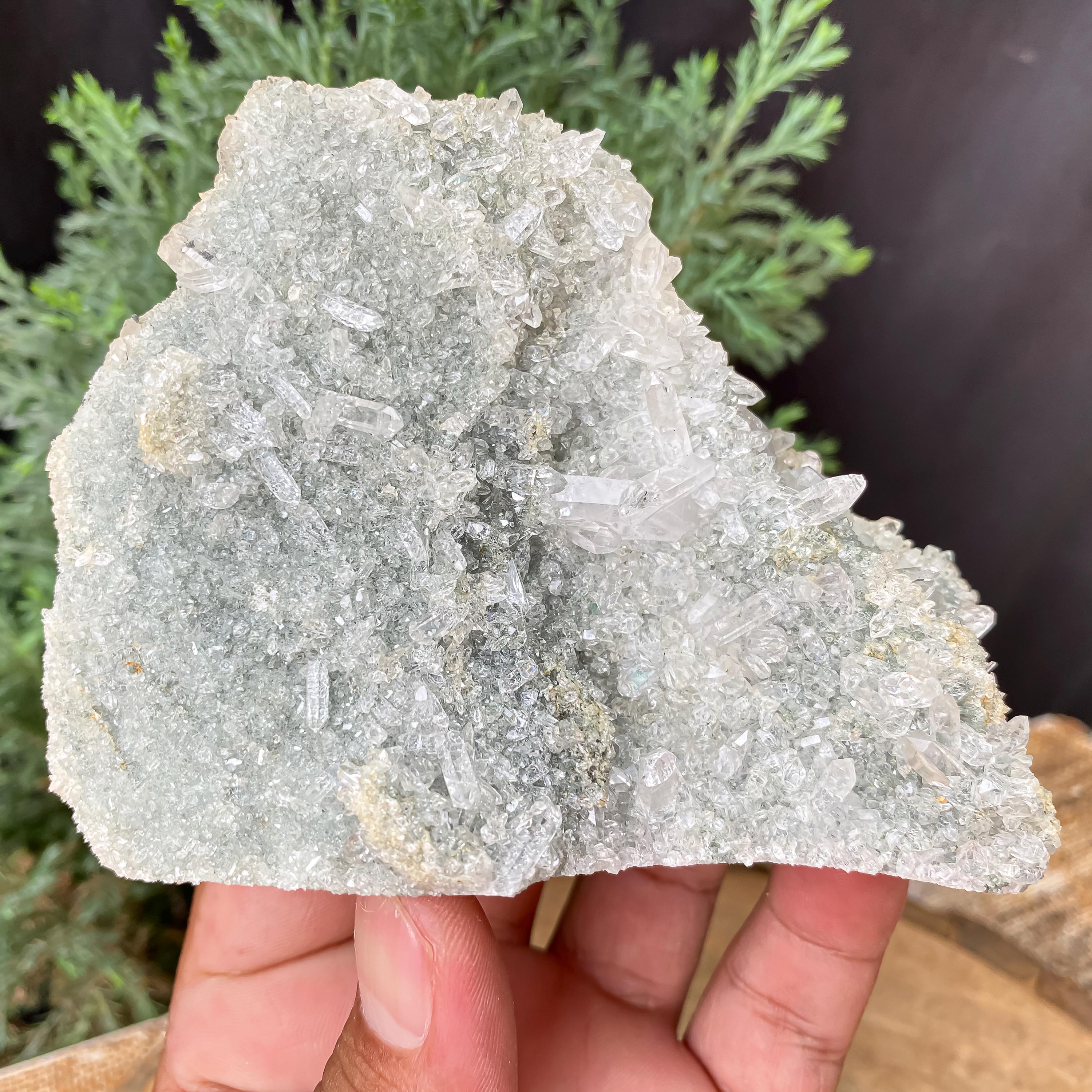 Himalayan Green Chlorite Quartz Cluster: Raw Healing Crystal, Home Decor 265gm