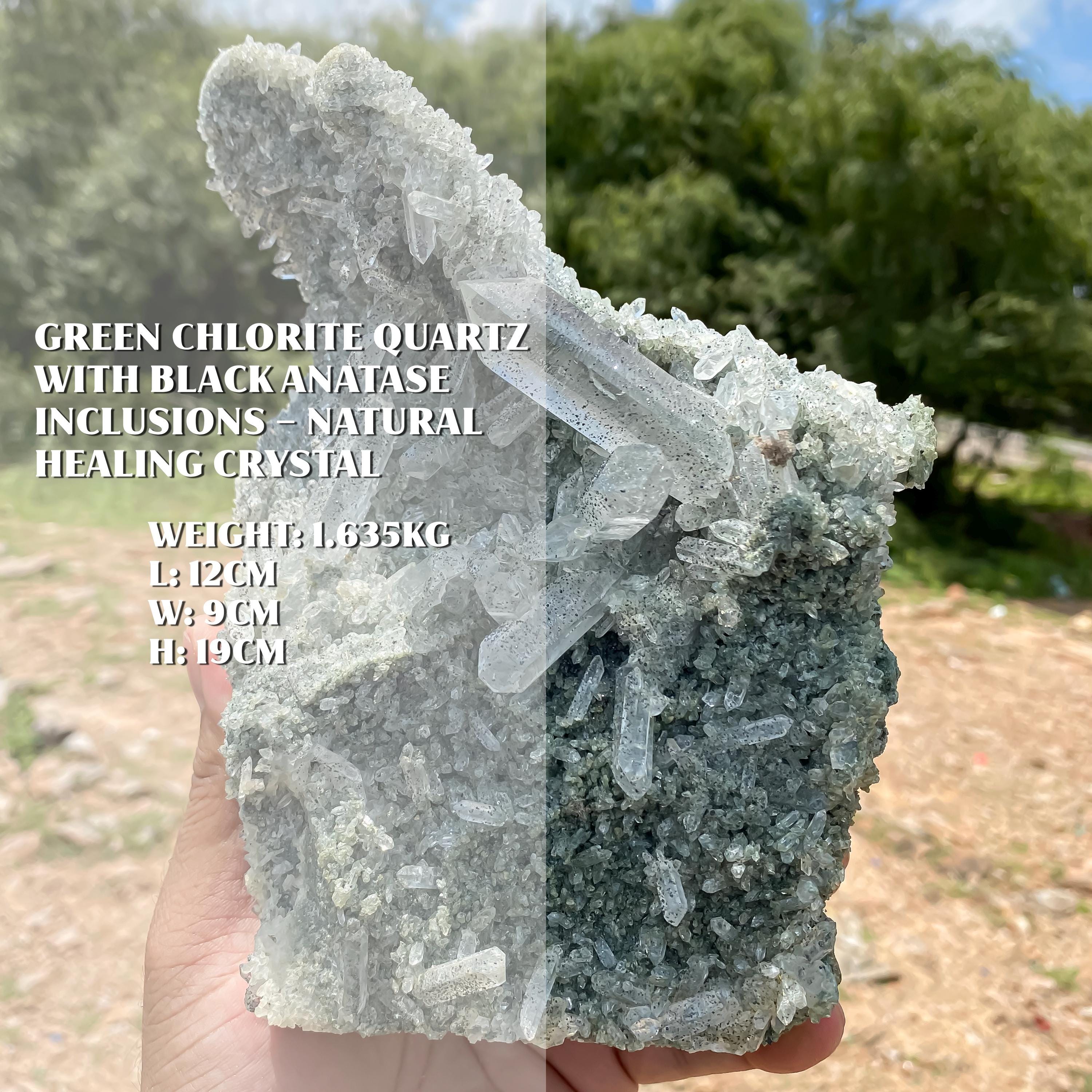 Himalayan Green Chlorite Quartz Cluster with Black Anatase: Healing Crystal Clear Pointed Rough 1635gm