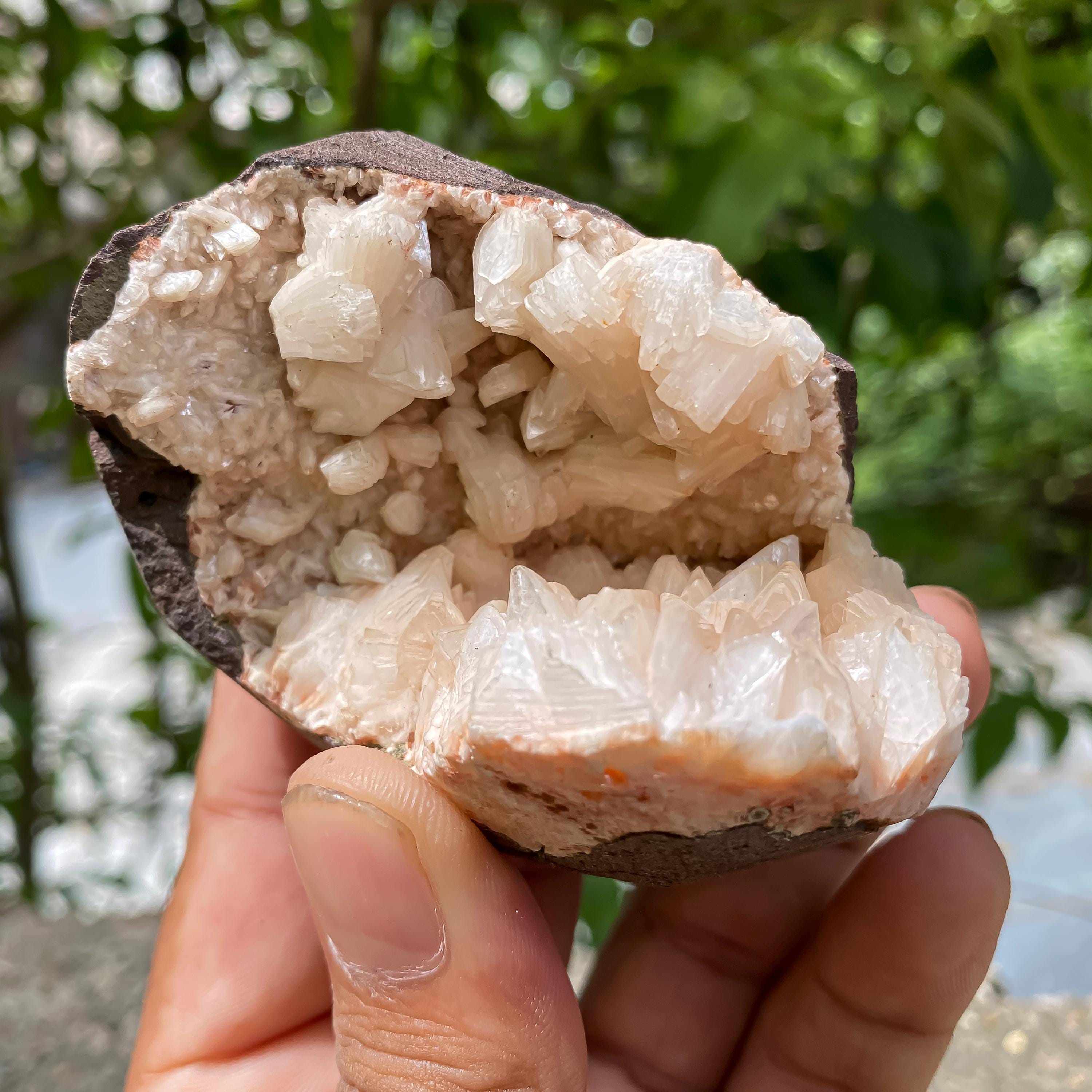Stillbite Apophyllite Geode Rough - Raw Crystal Cluster for Healing, Energy Work & Spiritual Decor 170gm