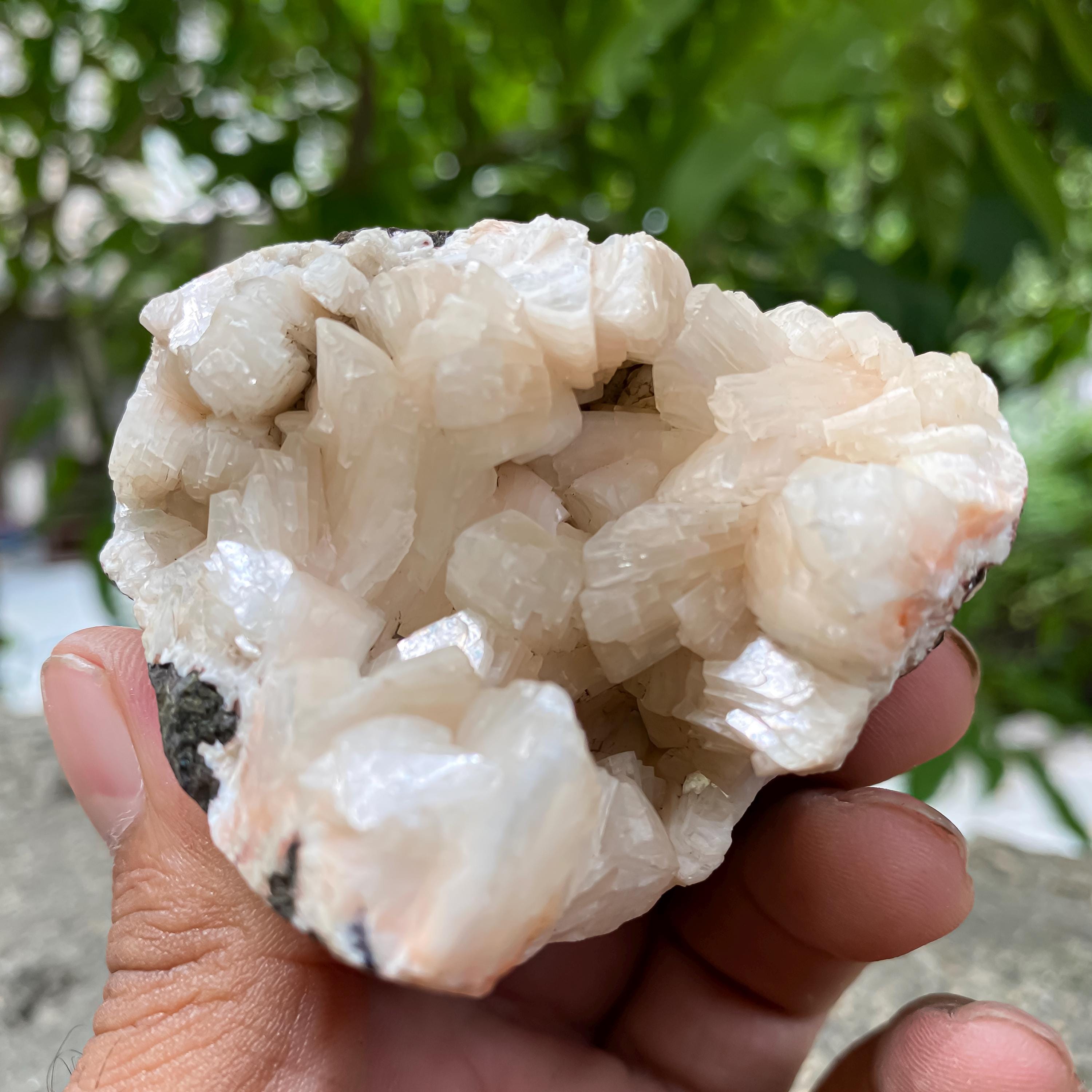 Peach Stilbite Apophyllite Cluster  Healing Crystal Geode 155gm