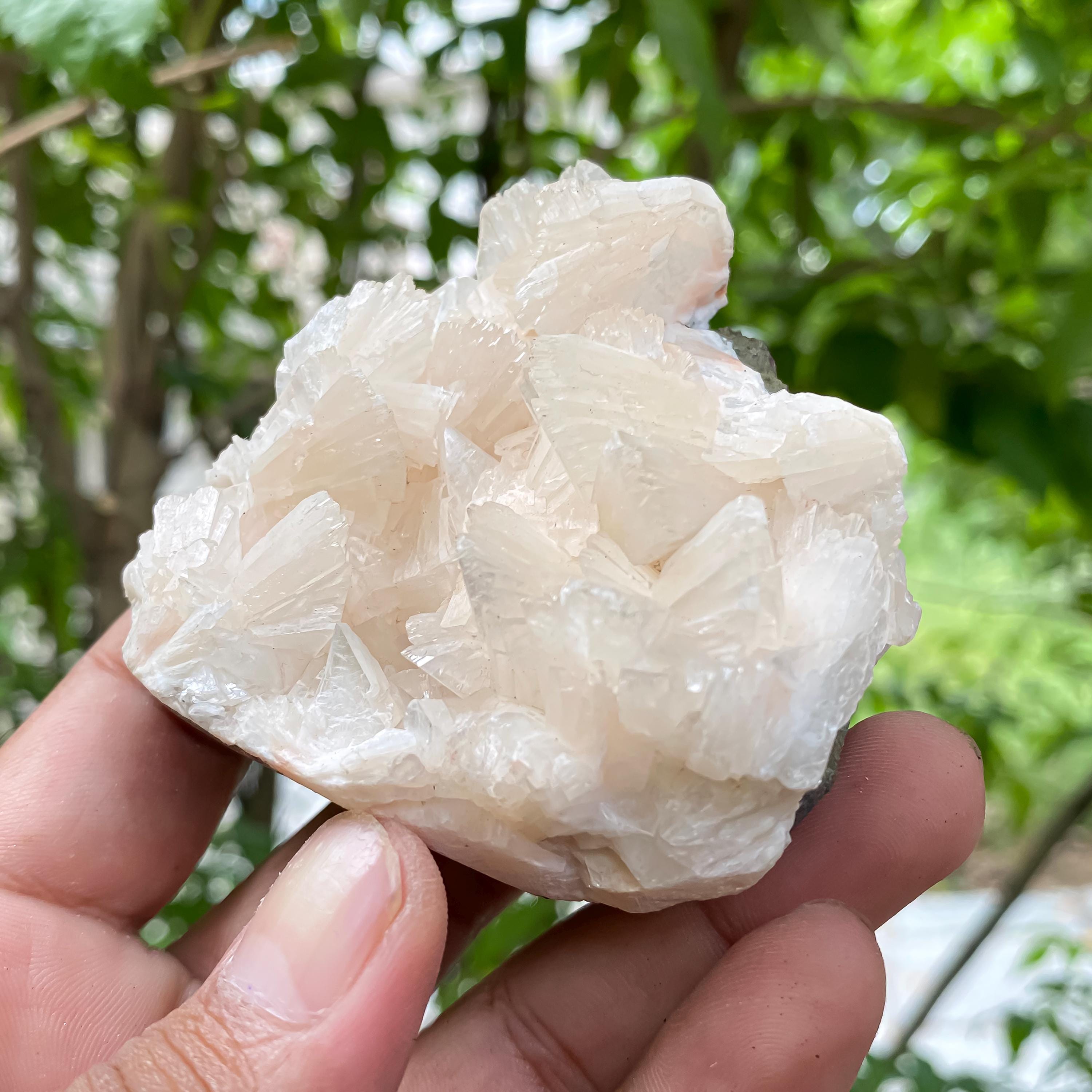 Natural Stilbite Apophyllite Geode Cluster: Reiki Healing Crystal 190gn