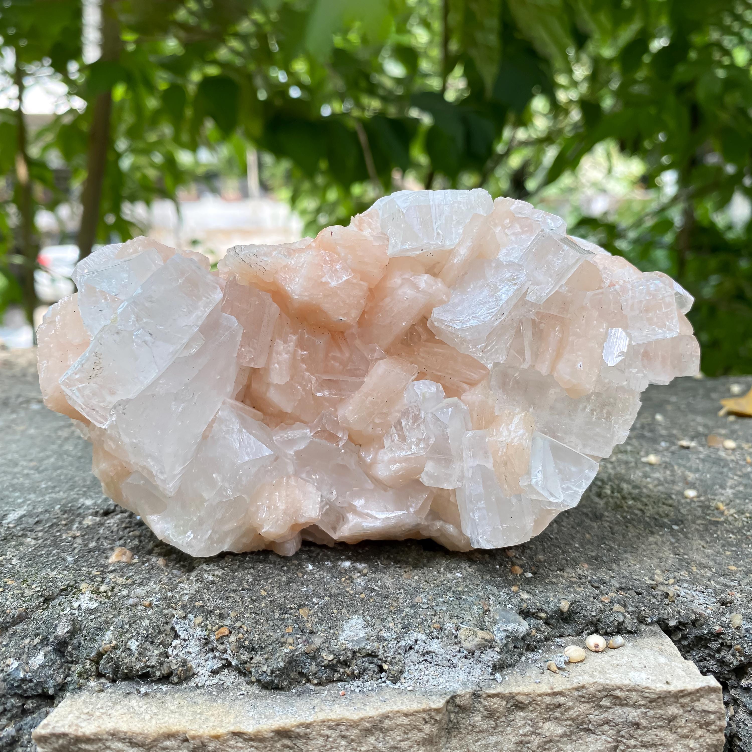 Peach Stilbite Apophyllite Cluster: Calming Reiki Healing Crystal 665gm