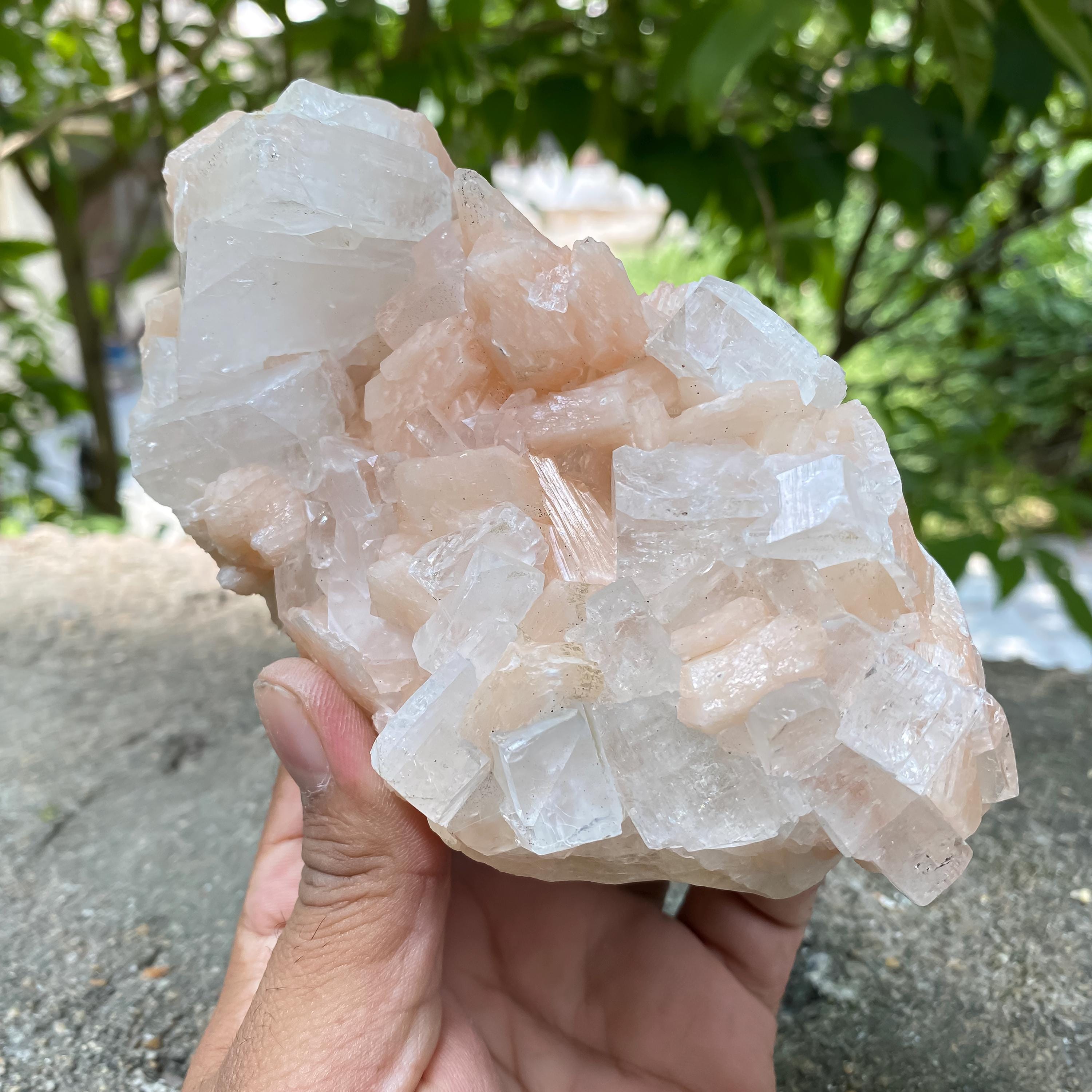 Peach Stilbite Apophyllite Cluster: Calming Reiki Healing Crystal 665gm