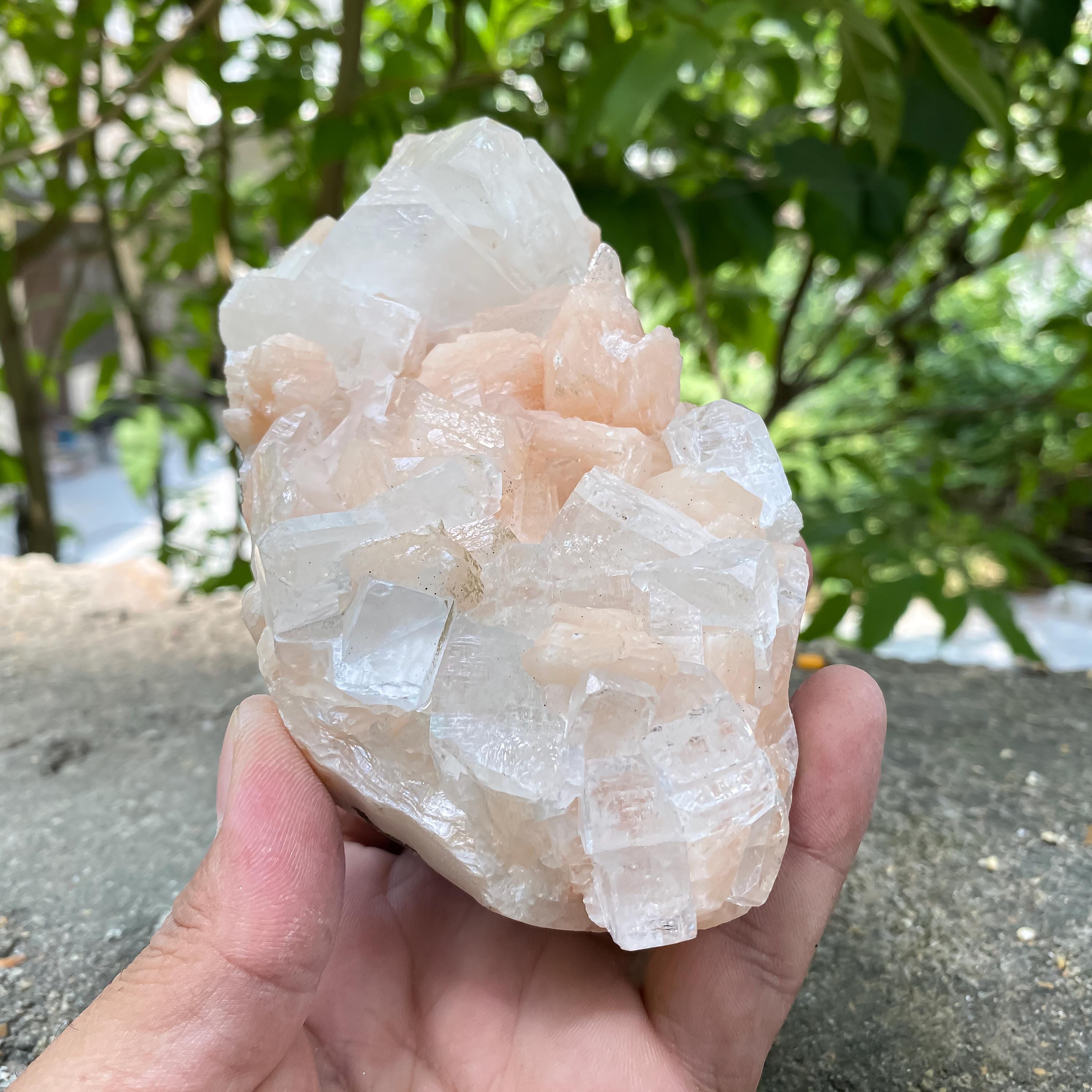 Peach Stilbite Apophyllite Cluster: Calming Reiki Healing Crystal 665gm