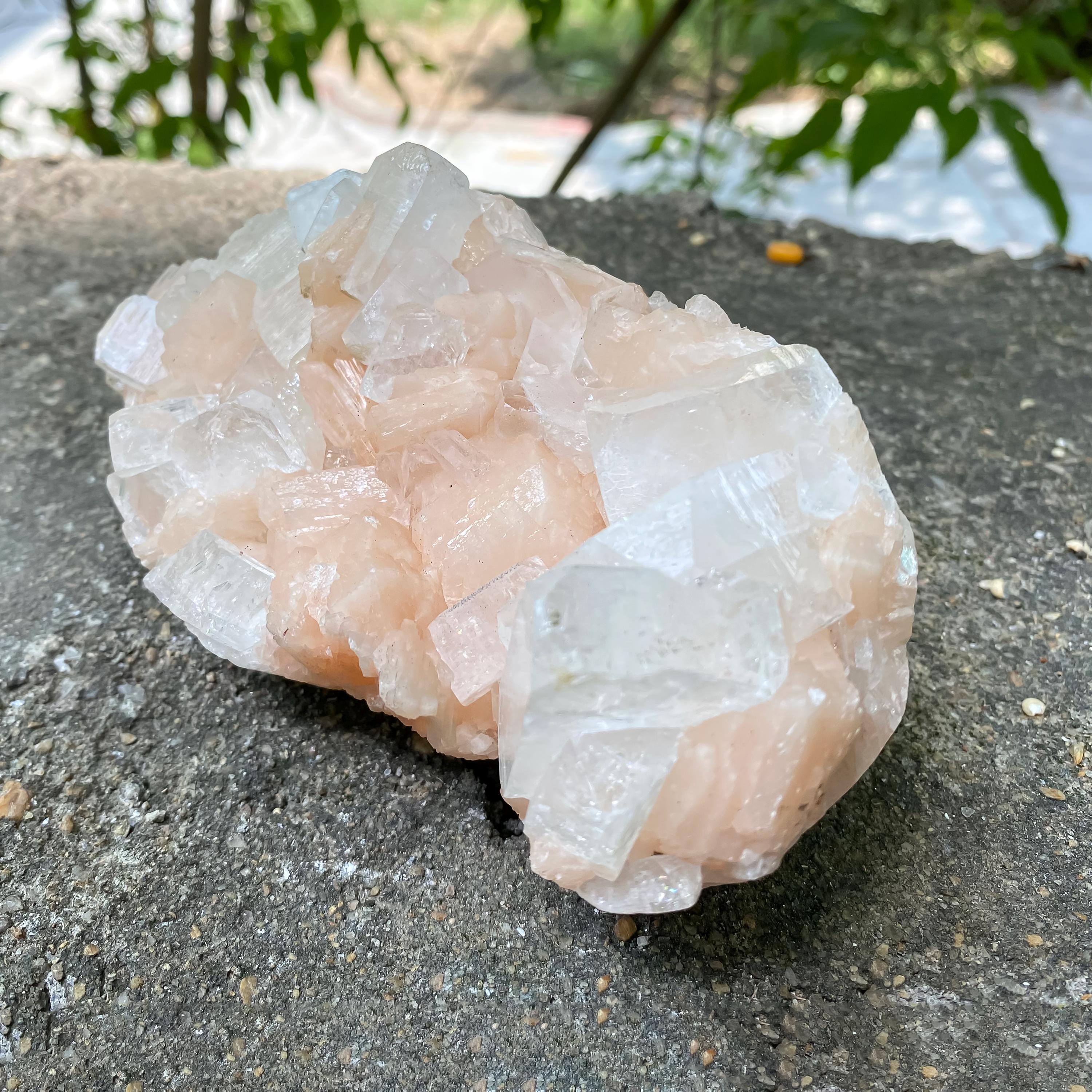Peach Stilbite Apophyllite Cluster: Calming Reiki Healing Crystal 665gm