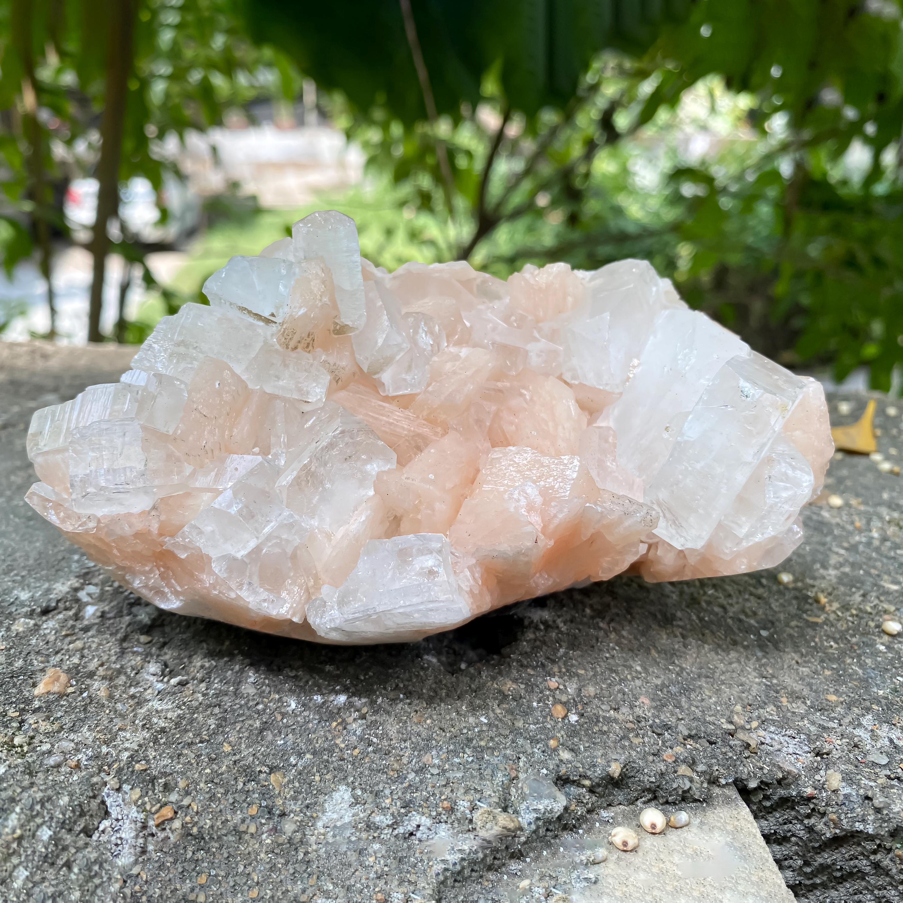 Peach Stilbite Apophyllite Cluster: Calming Reiki Healing Crystal 665gm
