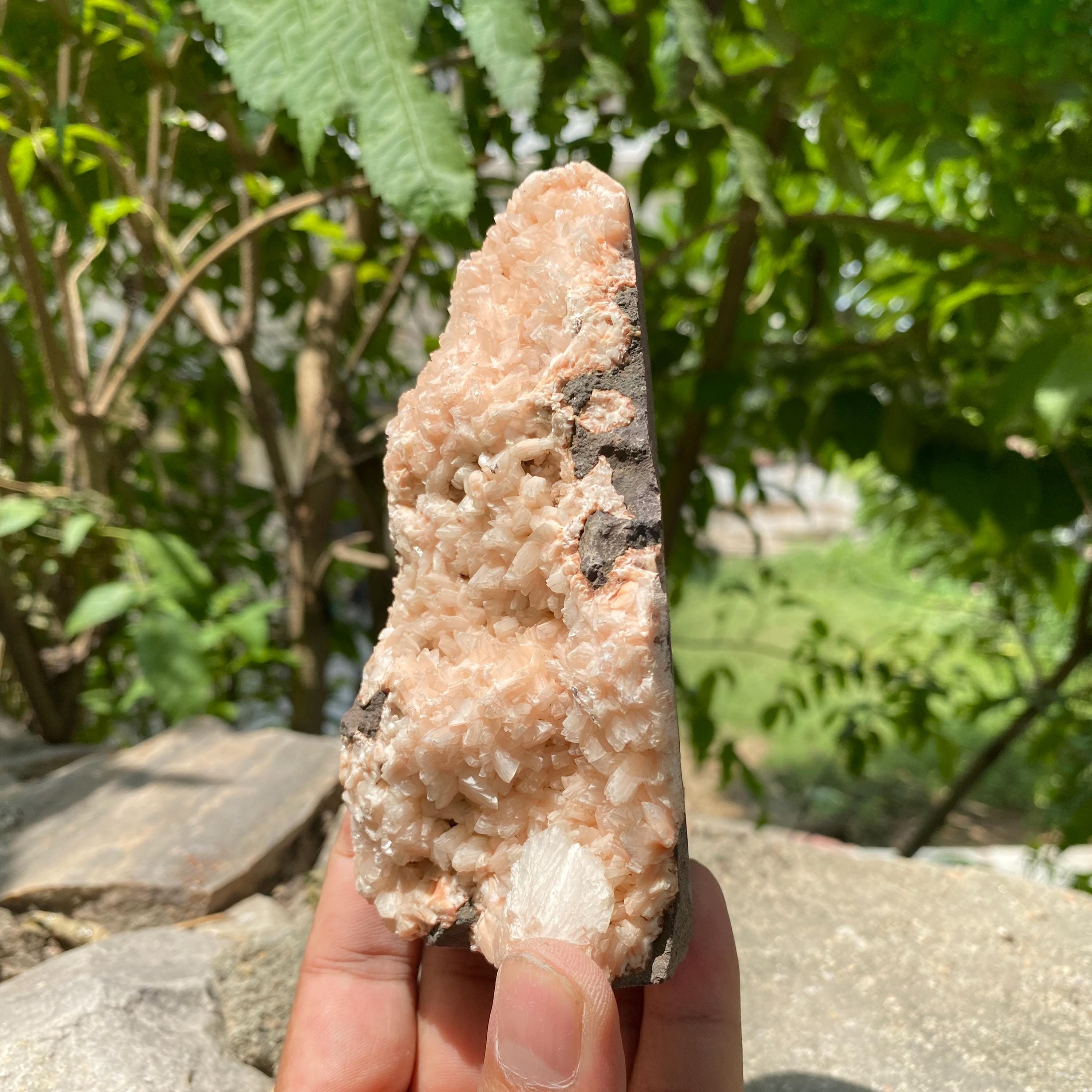 Stilbite Apophyllite Cluster: Calming Healing Crystal Decor 475gm