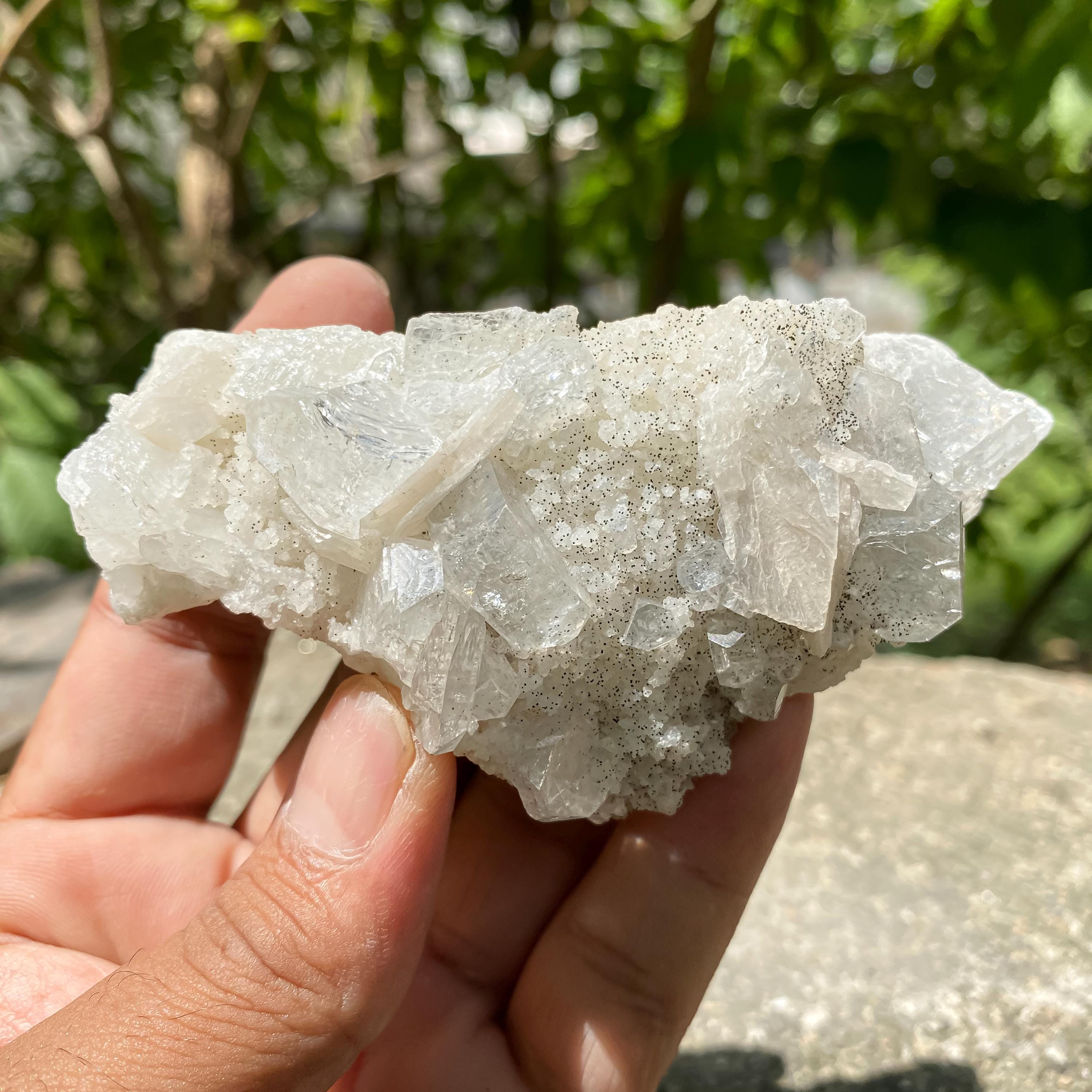 Sparkling White Apophyllite Crystal Cluster: Zeolite Specimen 155gm