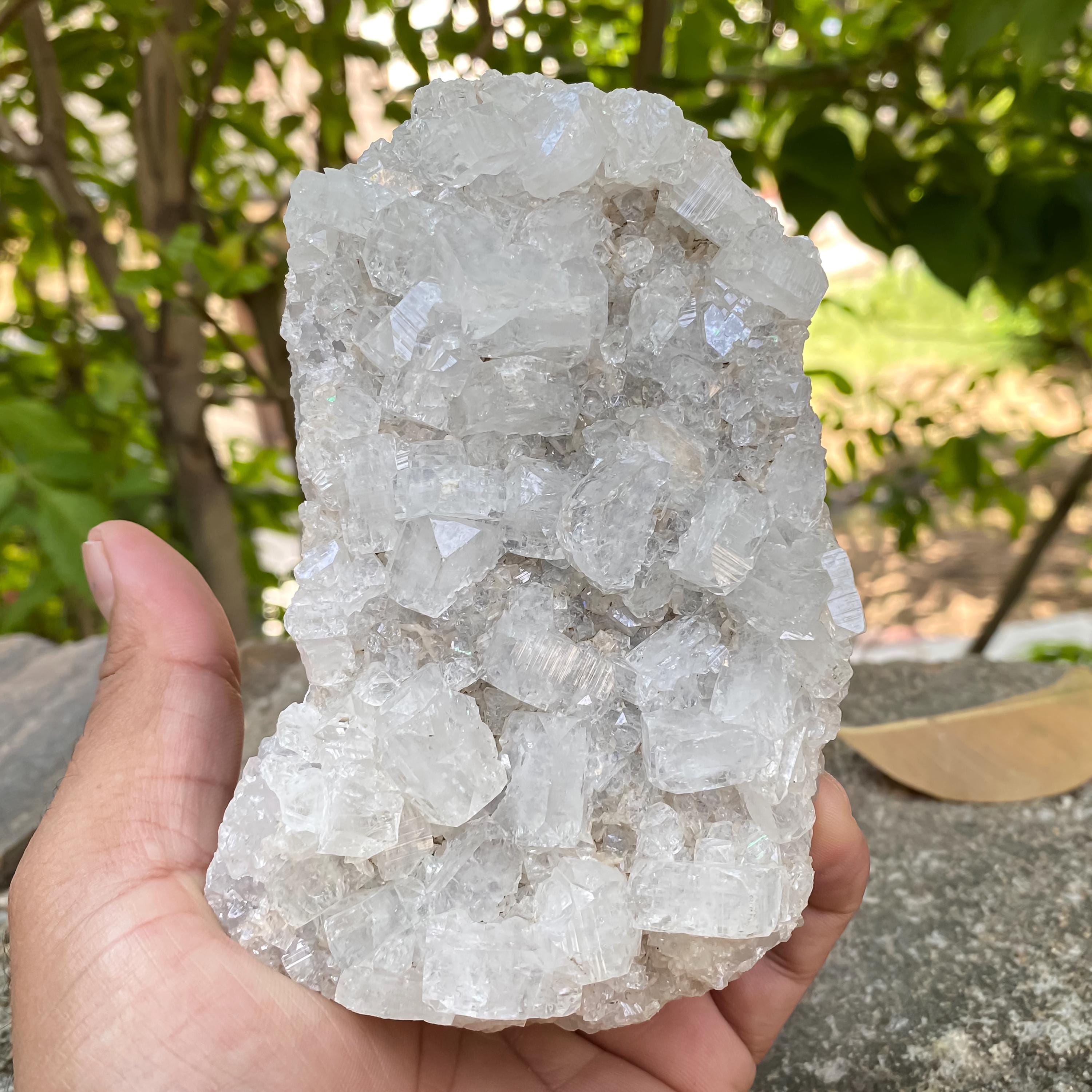 White Apophyllite Crystal Cluster, Sparkling Zeolite Specimen, 680gm Cubic White Crystals Raw, White Apophyllite Zeolite Cluster