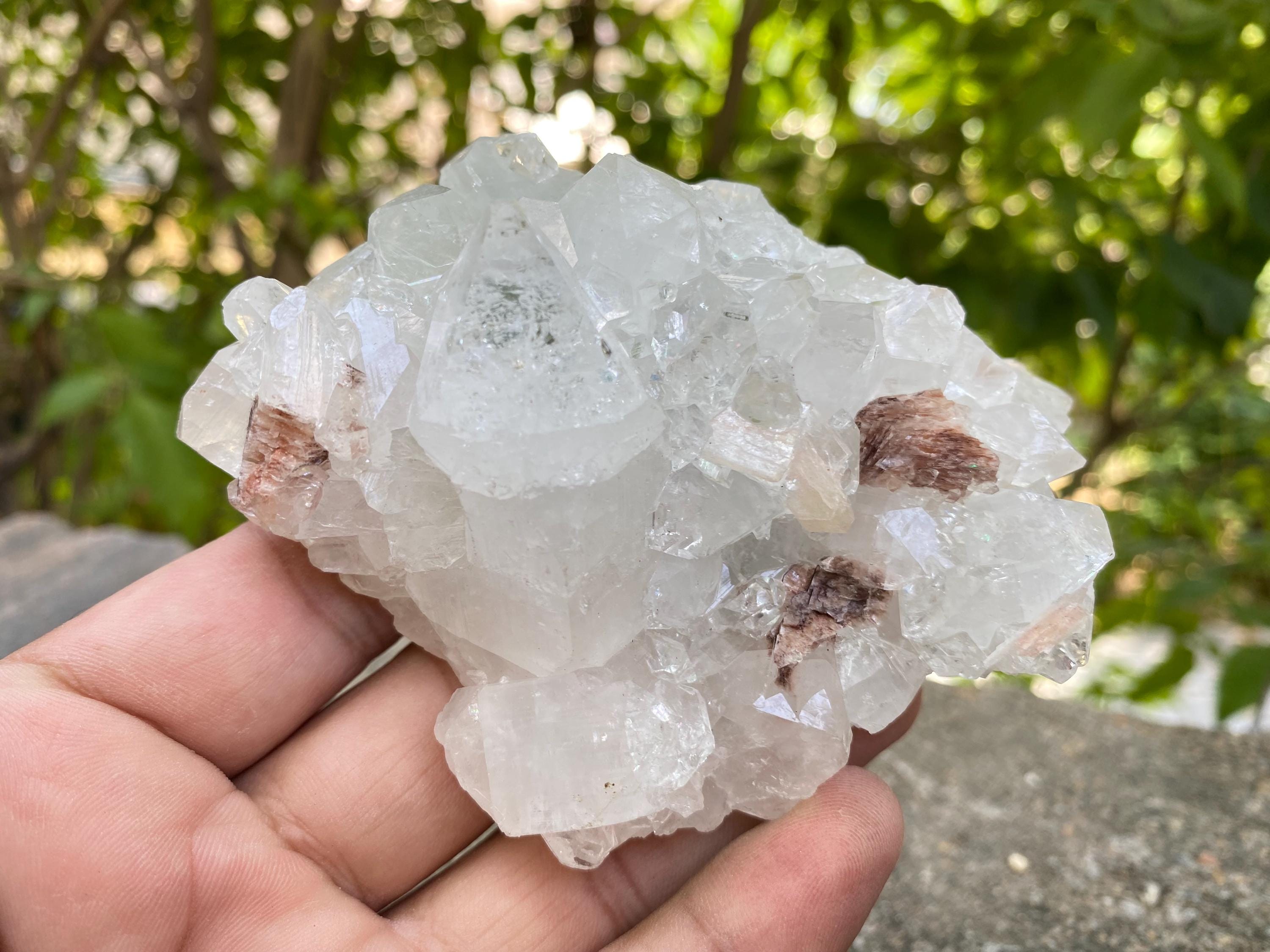 Rare White Apophyllite Geode 285gm Unique Healing Crystal for Spiritual Practice Rough