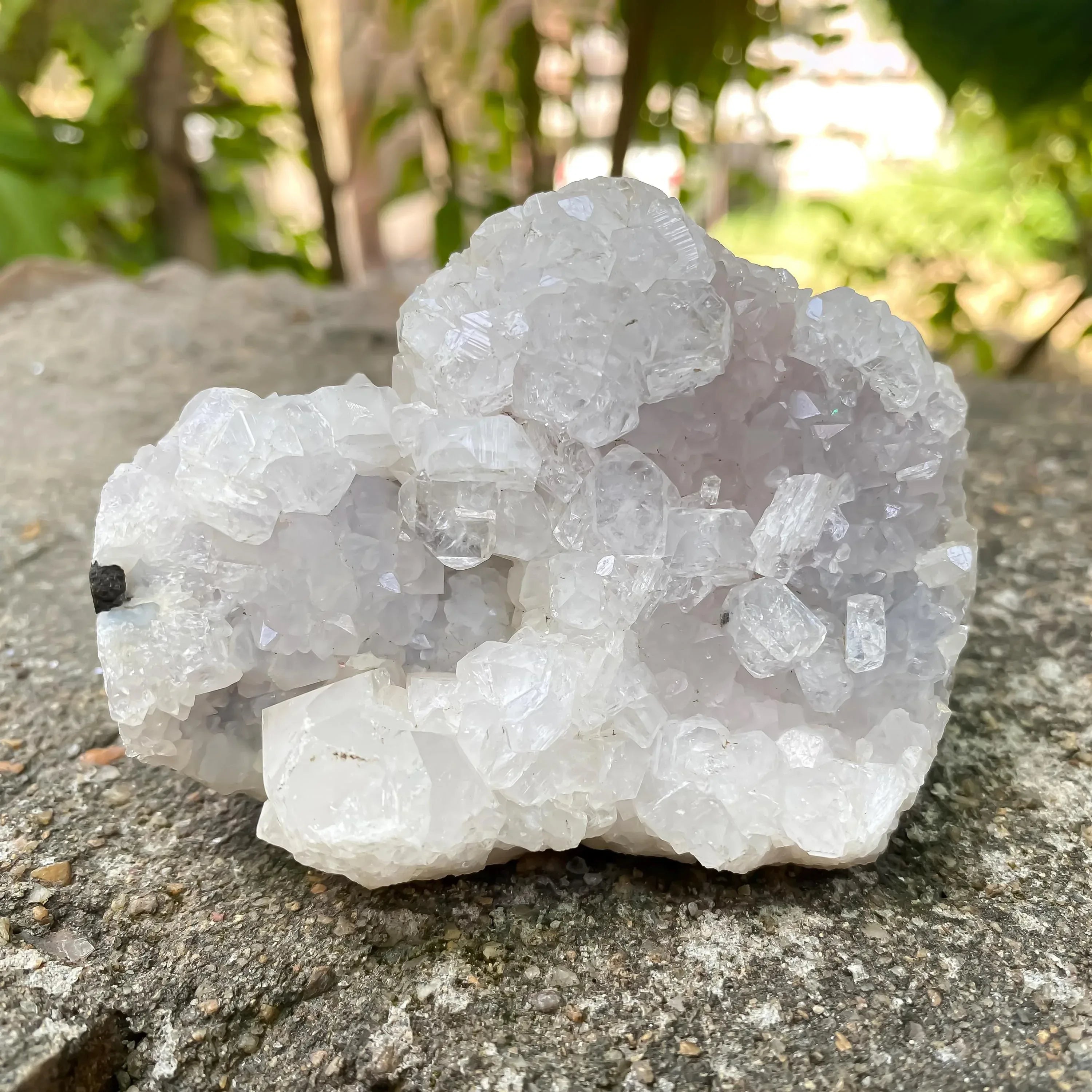 215gm White Apophyllite Cluster Natural Mineral Specimen Zeolite