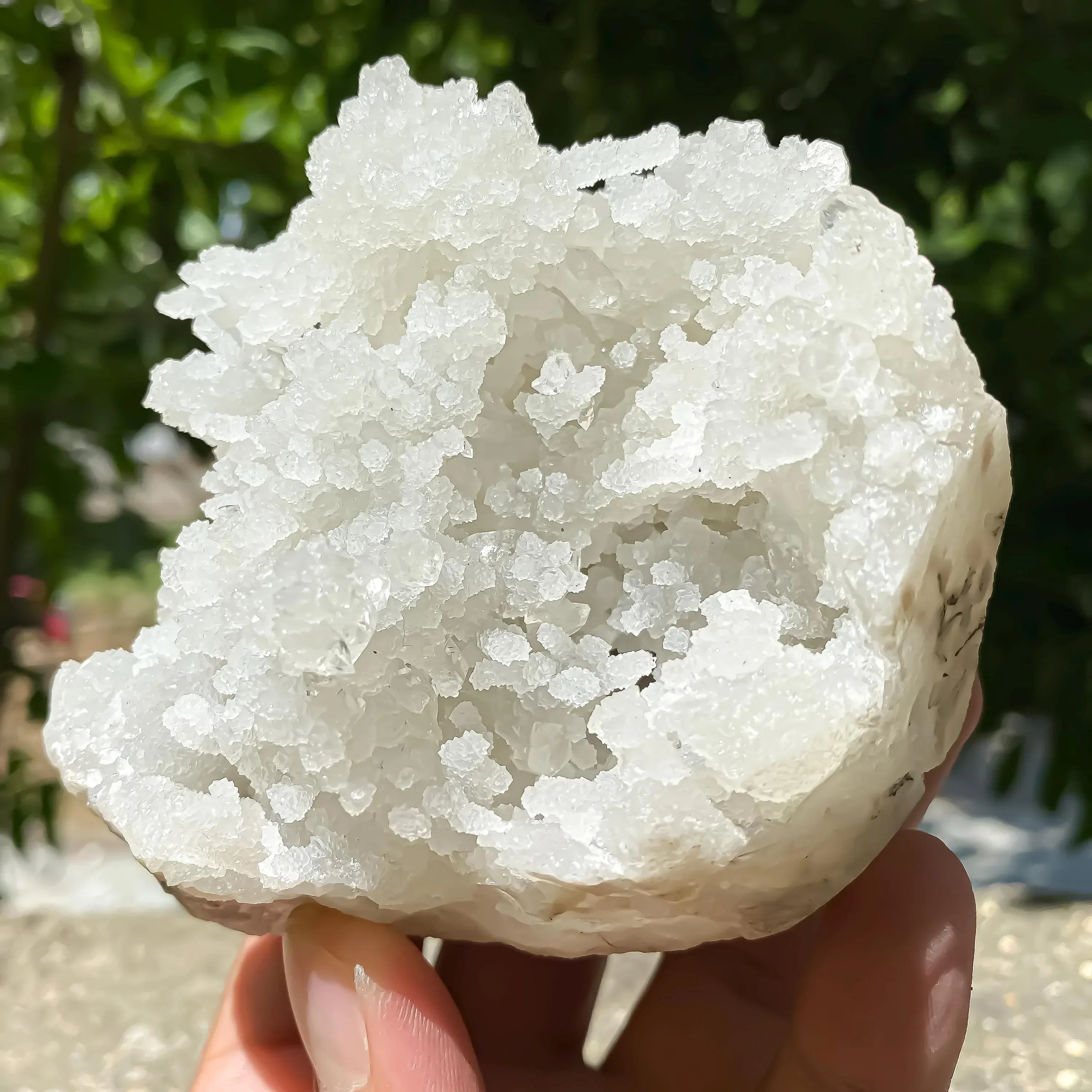 550gm Raw Chalcedony Apophyllite Zeolite Cluster Sparkling Crystal for Healing & Display Zeolite