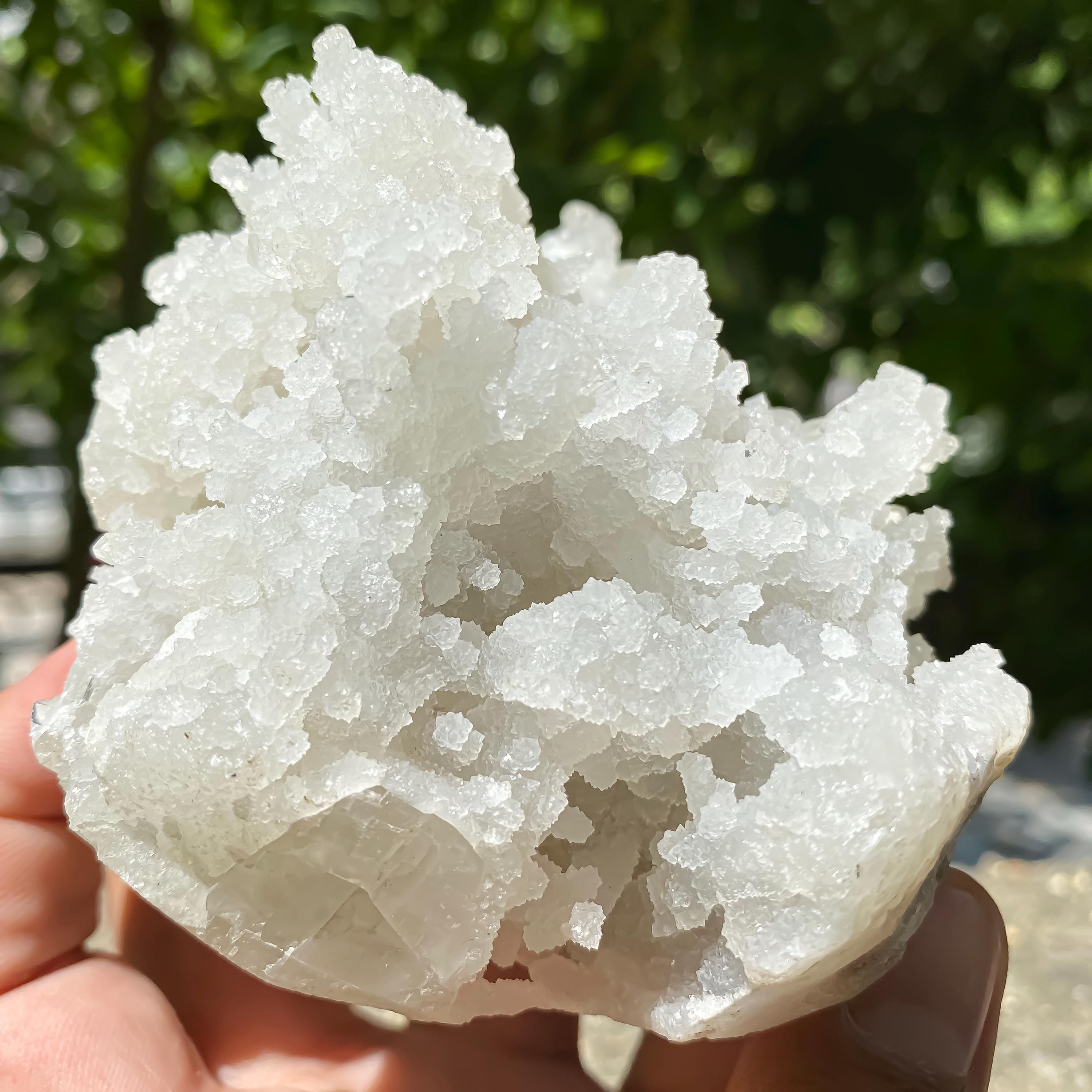 550gm Raw Chalcedony Apophyllite Zeolite Cluster  Sparkling Crystal for Healing & Display