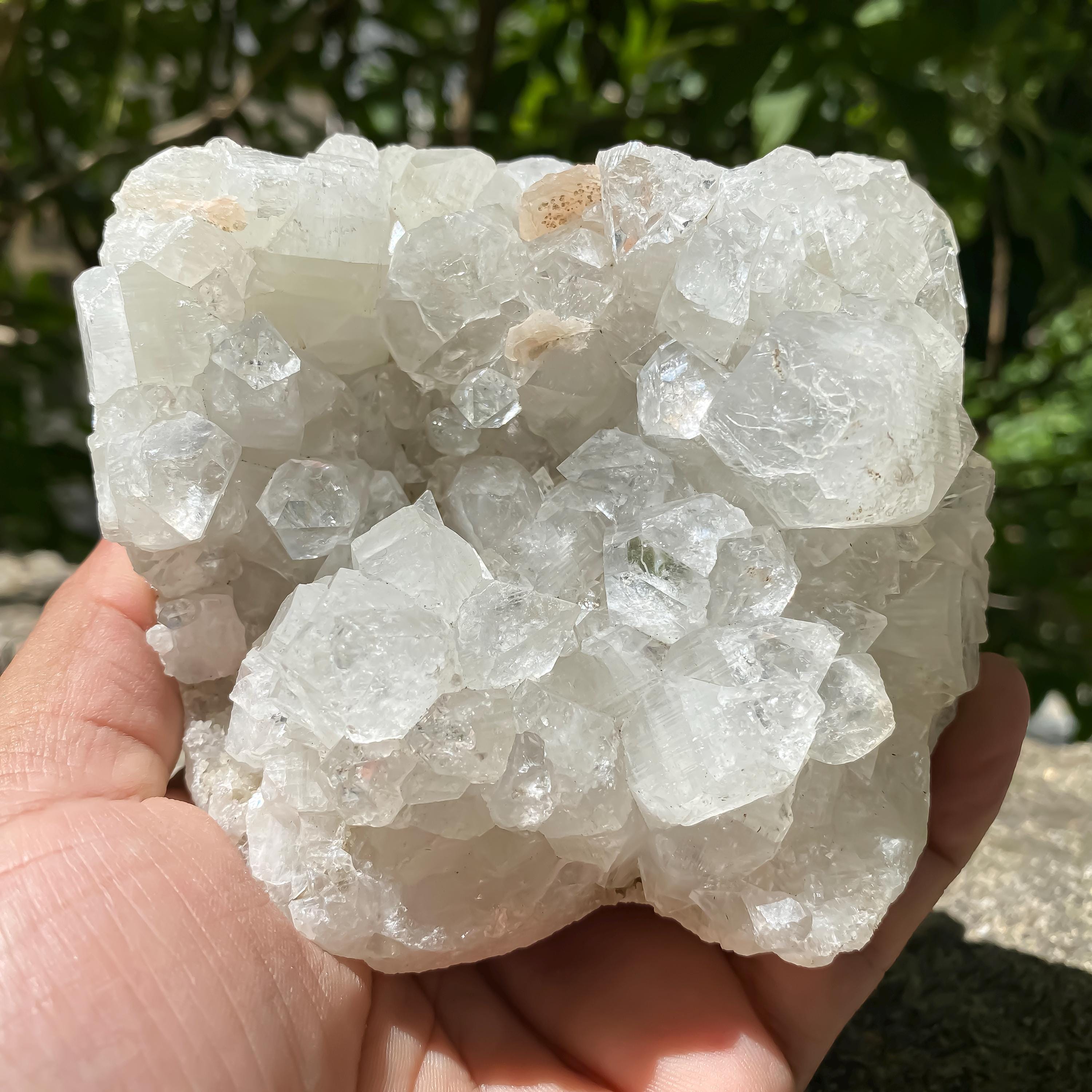 White Apophyllite Crystal Cluster: Healing Stone Home Decor 640gm