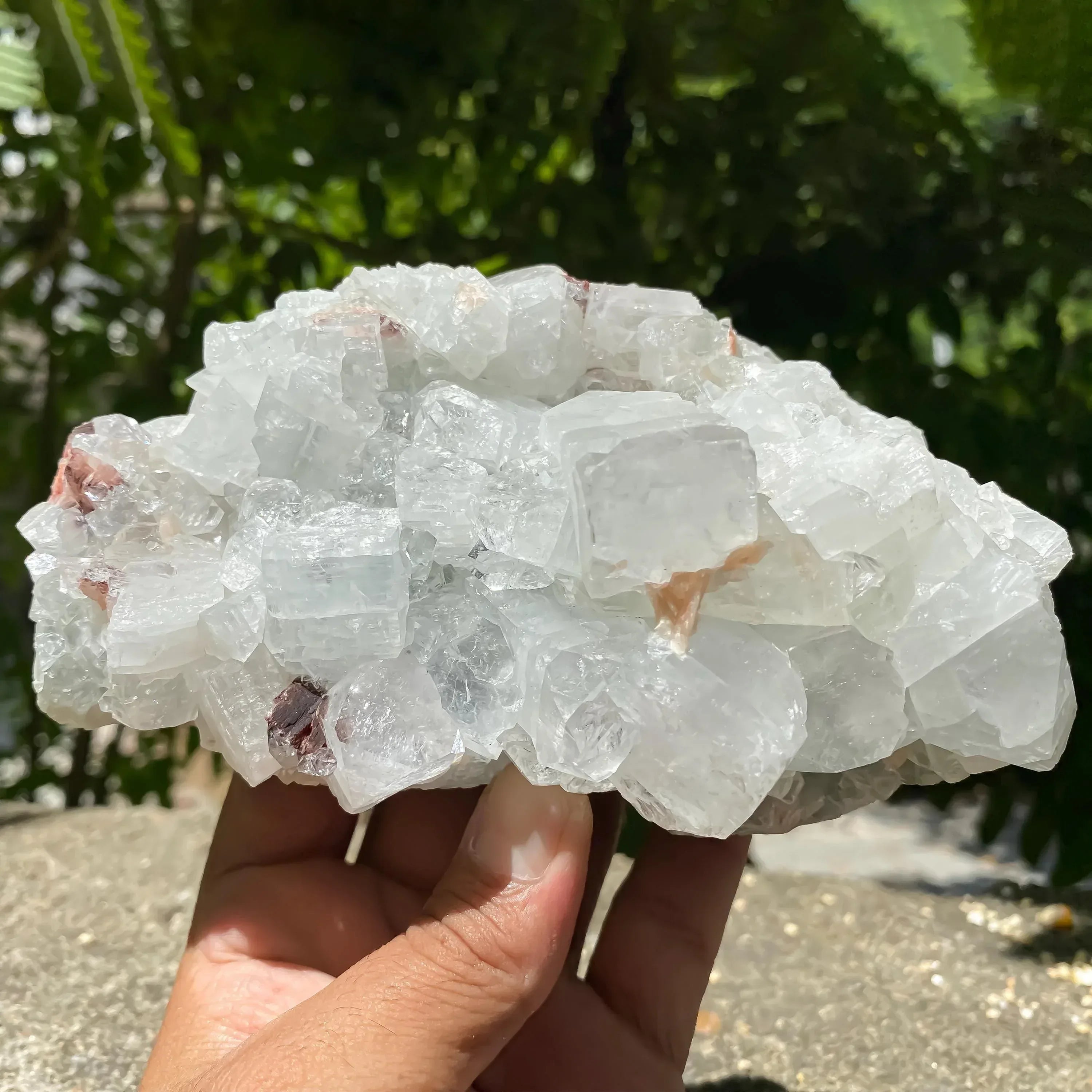 Apophyllite Crystal Cluster with Stilbite Natural Zeolite Mineral for Healing, Meditation, Home Decor Zeolite