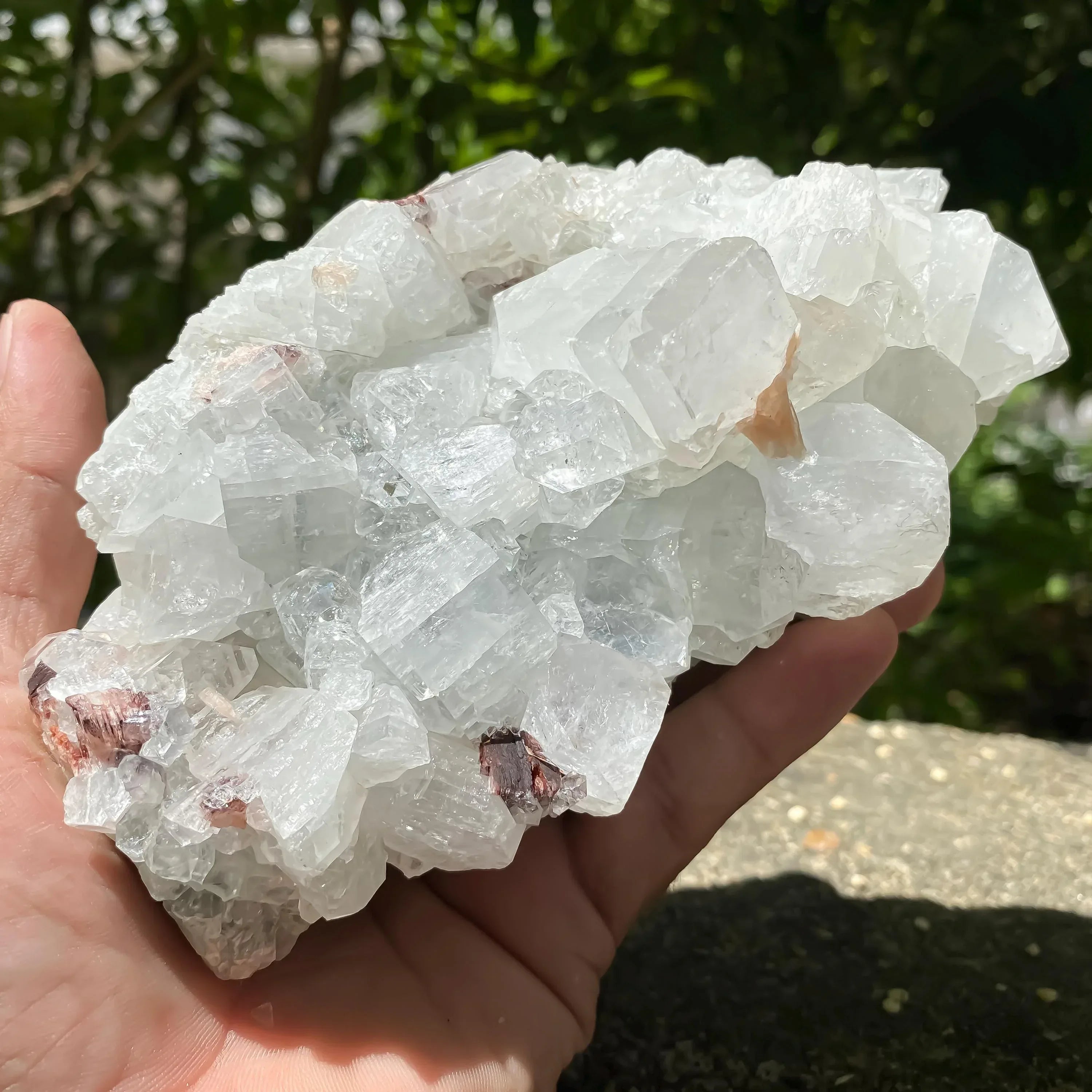 Apophyllite Crystal Cluster with Stilbite Natural Zeolite Mineral for Healing, Meditation, Home Decor Zeolite