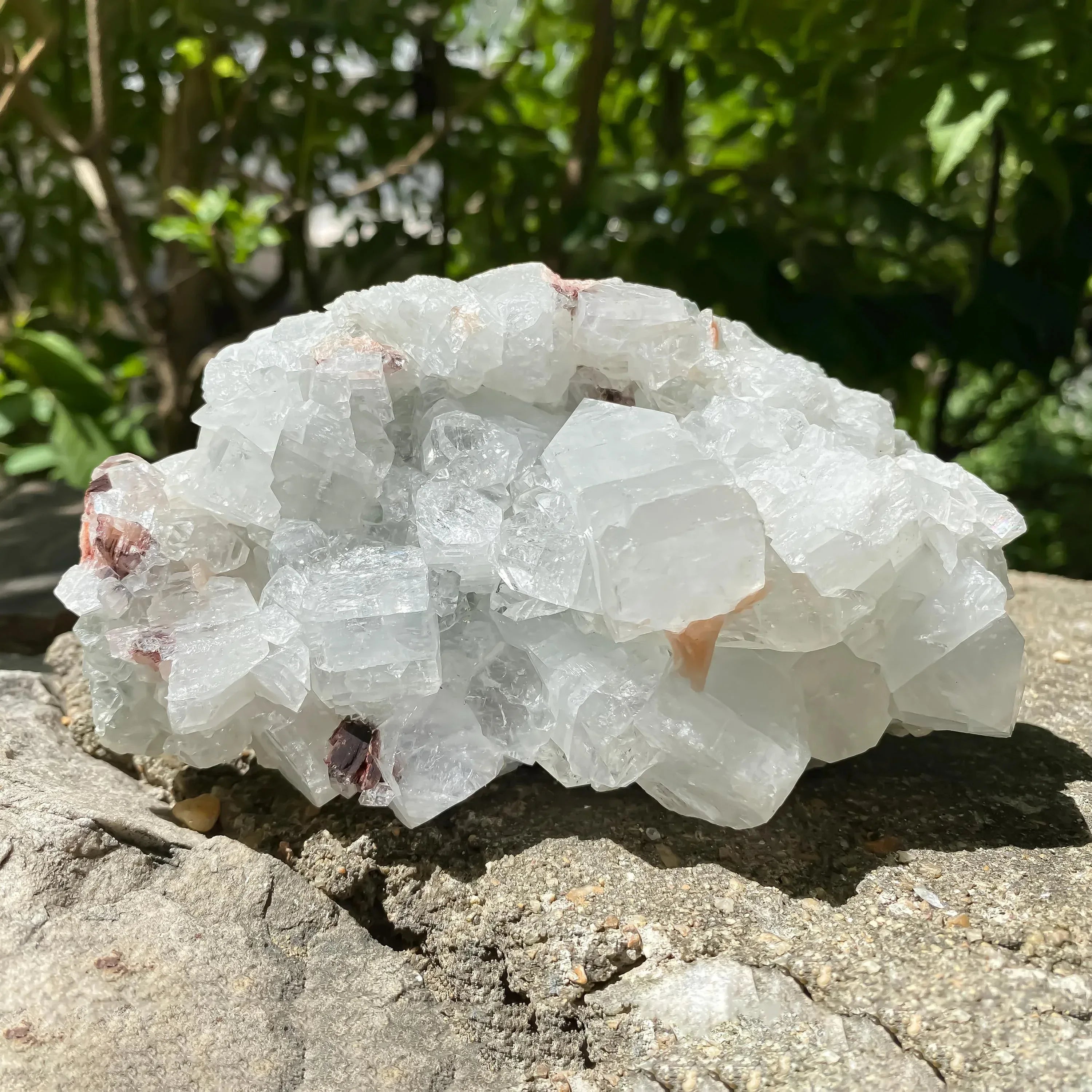 Apophyllite Crystal Cluster with Stilbite Natural Zeolite Mineral for Healing, Meditation, Home Decor Zeolite