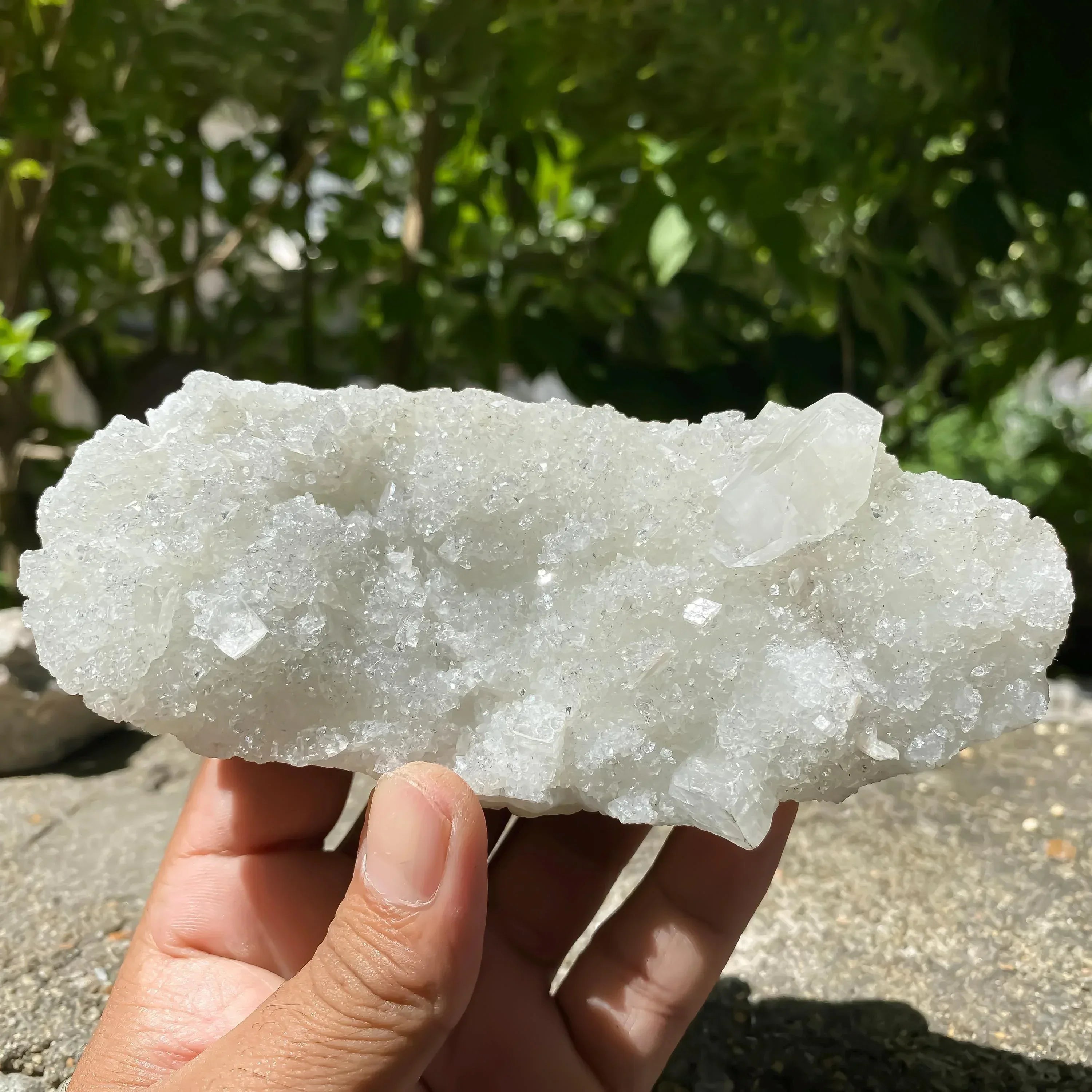 Apophyllite Zeolite Cluster: Natural Healing Stone 275gm Zeolite