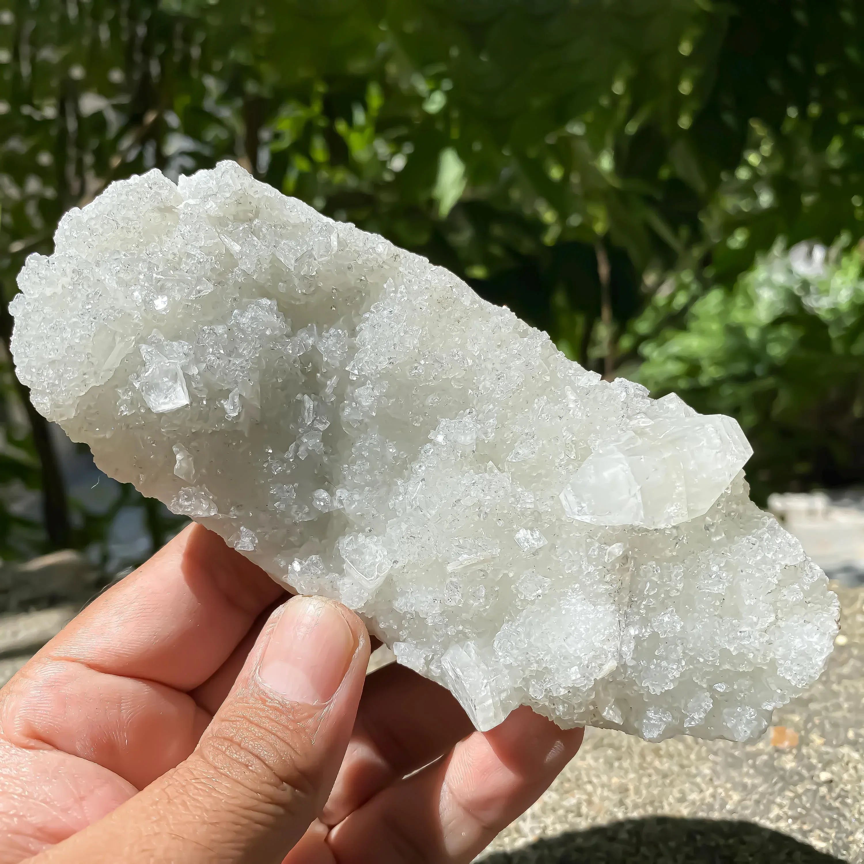 Apophyllite Zeolite Cluster: Natural Healing Stone 275gm Zeolite