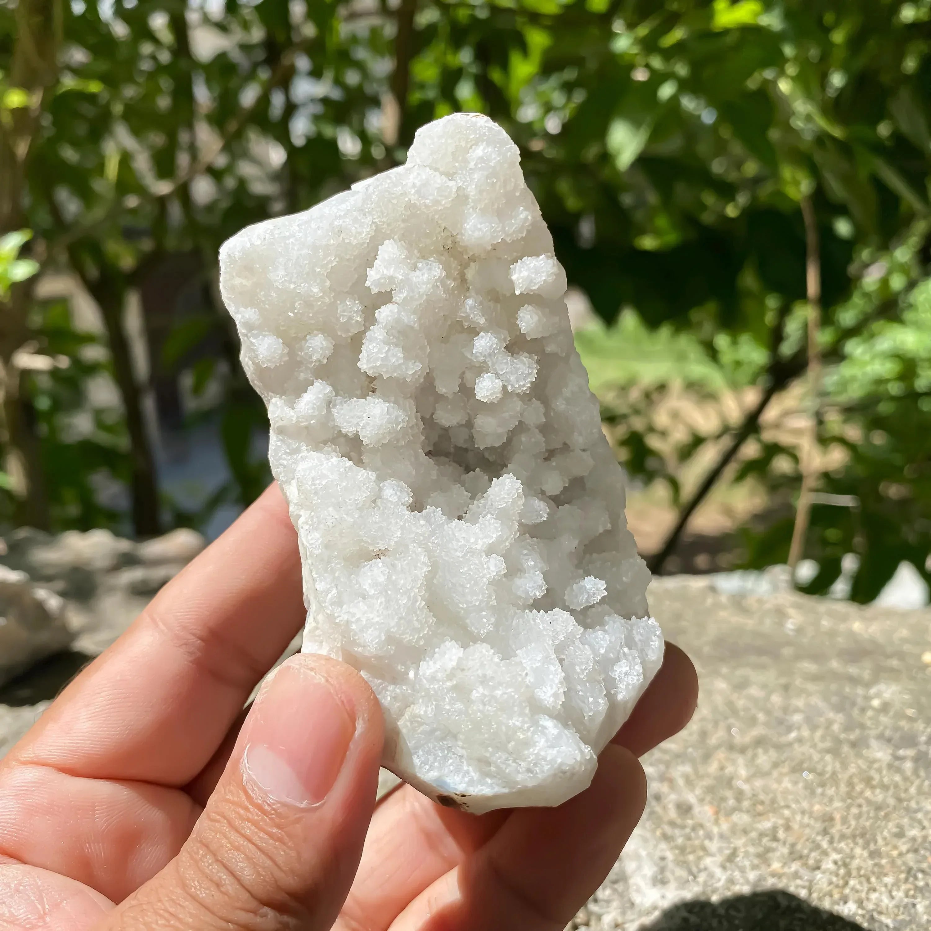 White Apophyllite Zeolite Cluster Rough 245gm Raw Crystal Mineral Reiki Healing Zeolite