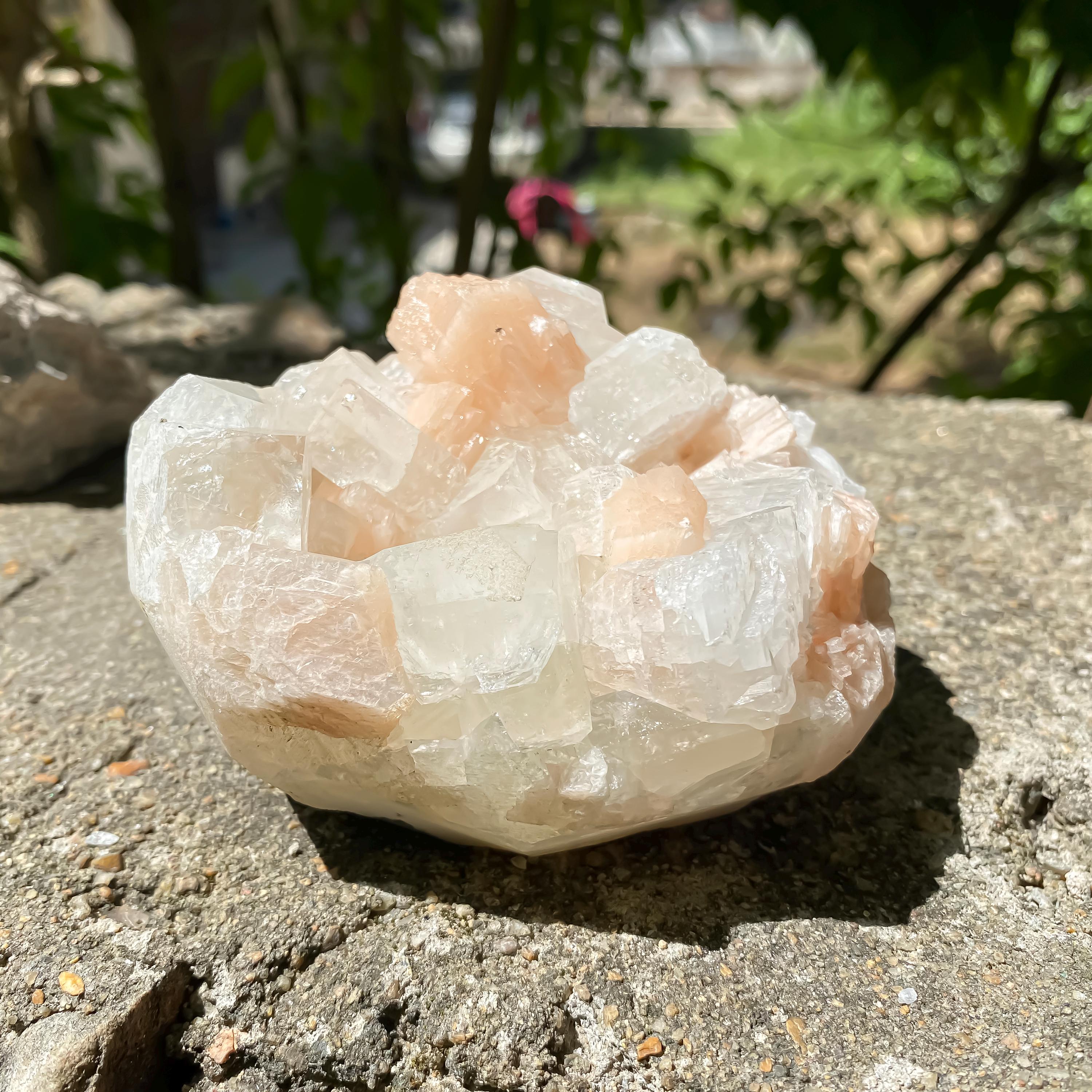 Natural Apophyllite Stilbite Geode Cluster : Rare Zeolite Crystal for Calm 535gm