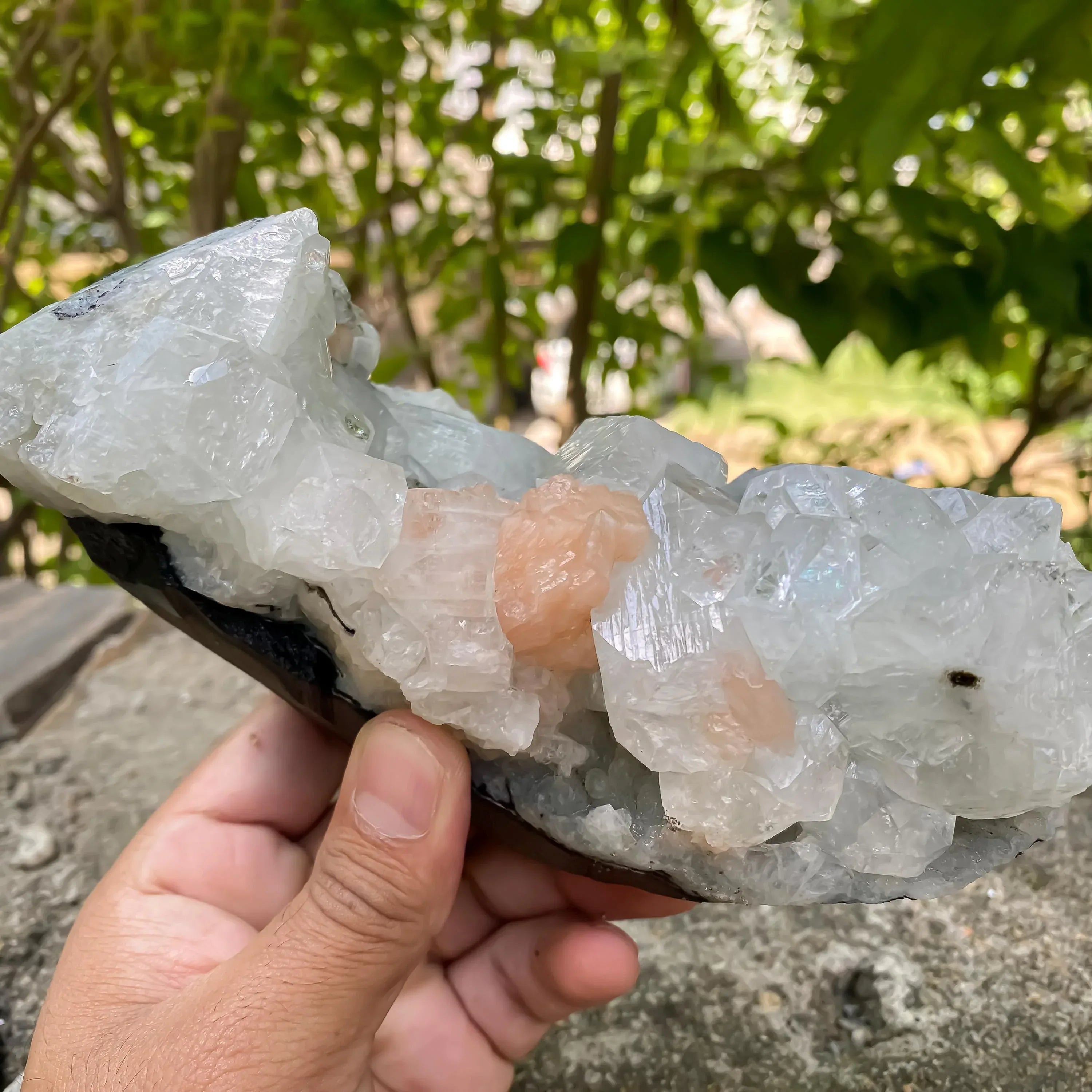 Apophyllite Cluster Geode Natural Sparkling Crystal Points, Healing Mineral Specimen, Reiki Stone Rough Zeolite