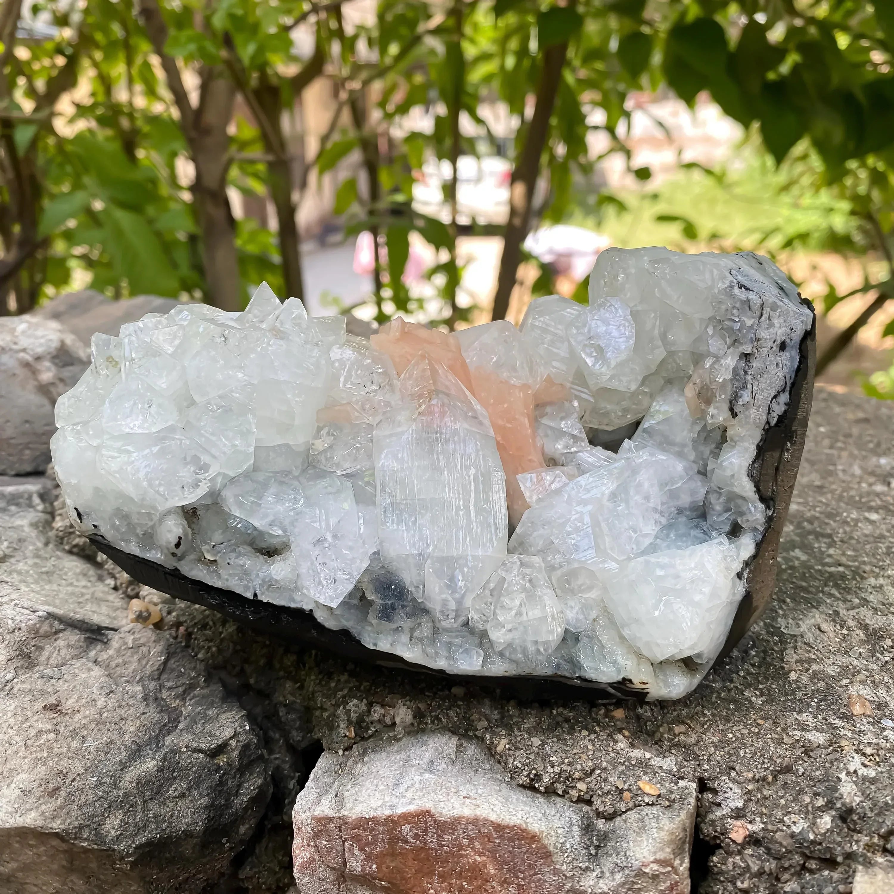 Apophyllite Cluster Geode Natural Sparkling Crystal Points, Healing Mineral Specimen, Reiki Stone Rough Zeolite